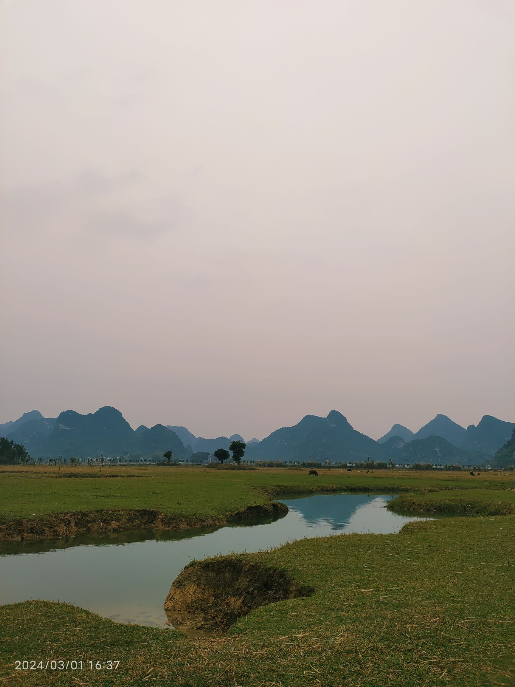广西兴宾三利湖国家湿地公园旅行图片 1