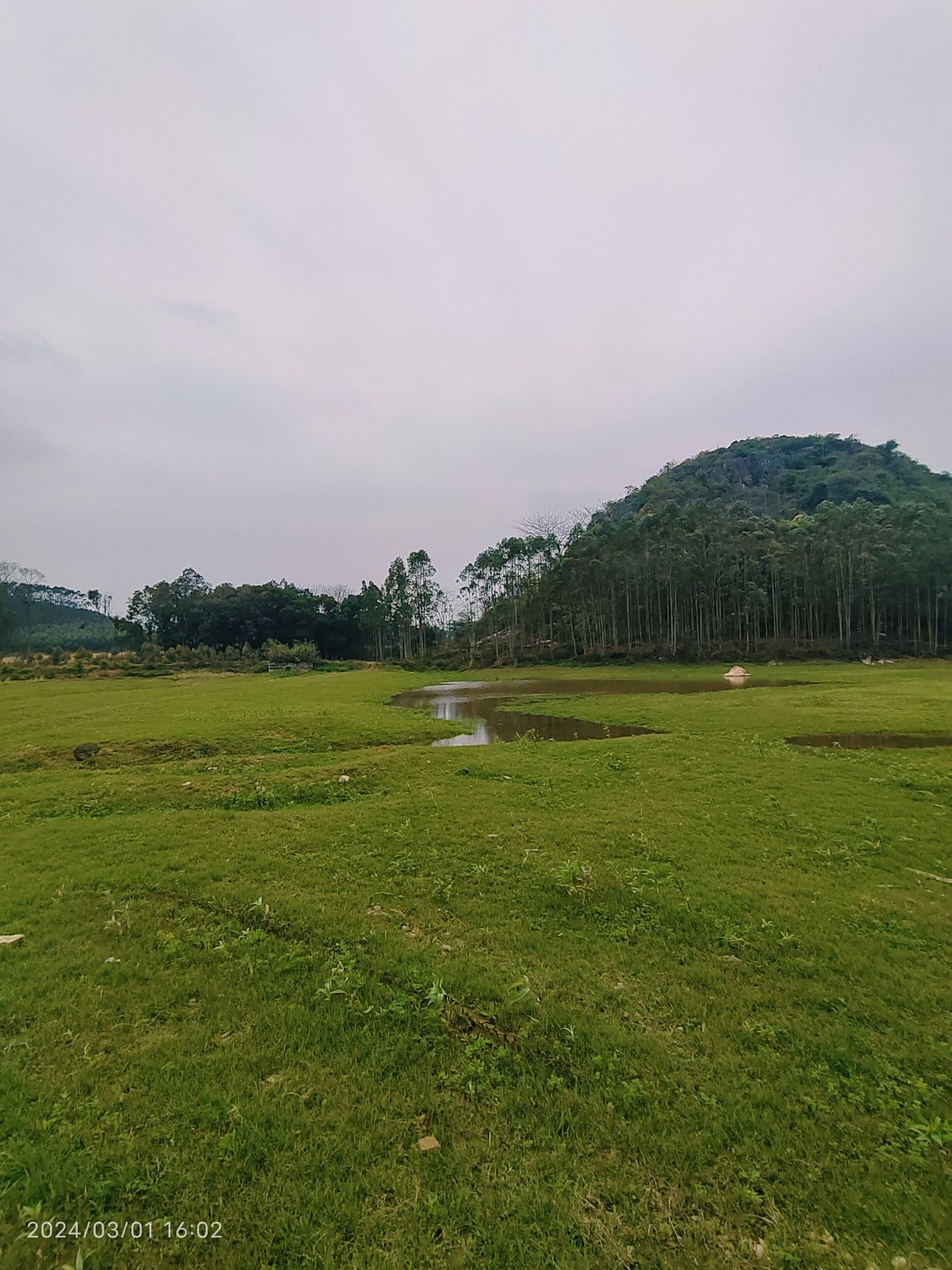 广西兴宾三利湖国家湿地公园旅行图片 3