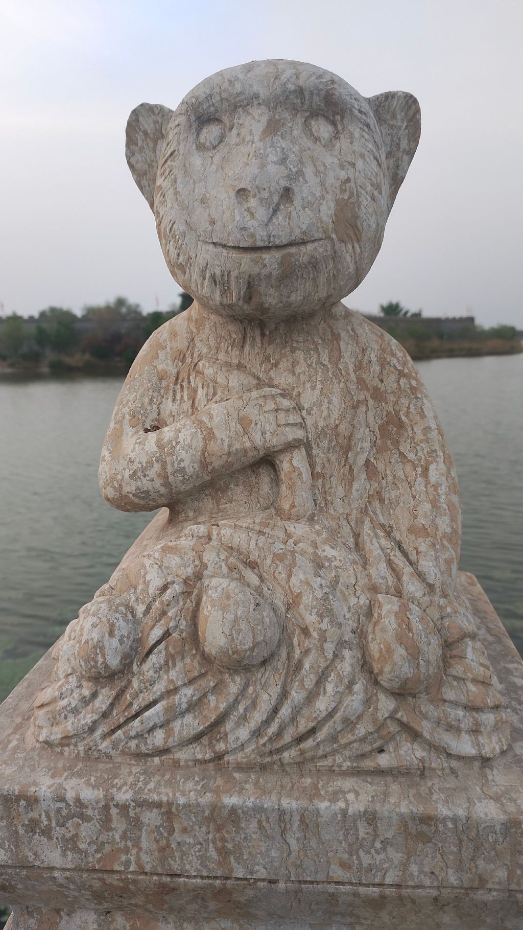 龙型湿地旅行图片 1