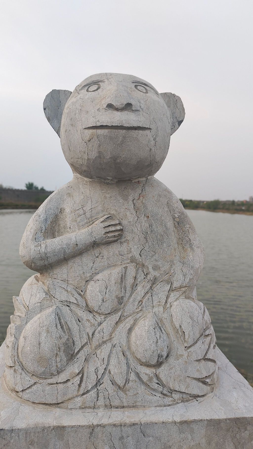 龙型湿地旅行图片 2