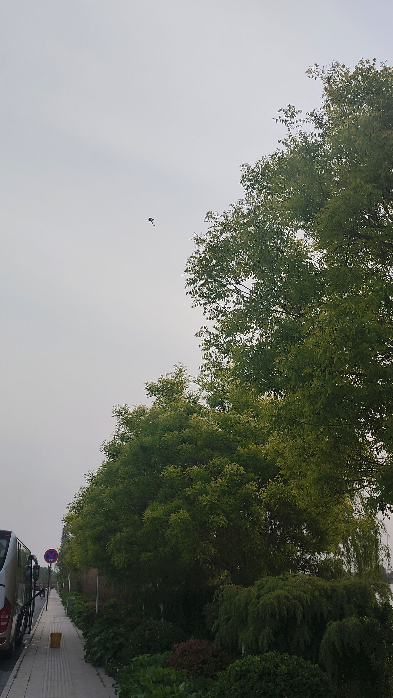龙型湿地旅行图片 3