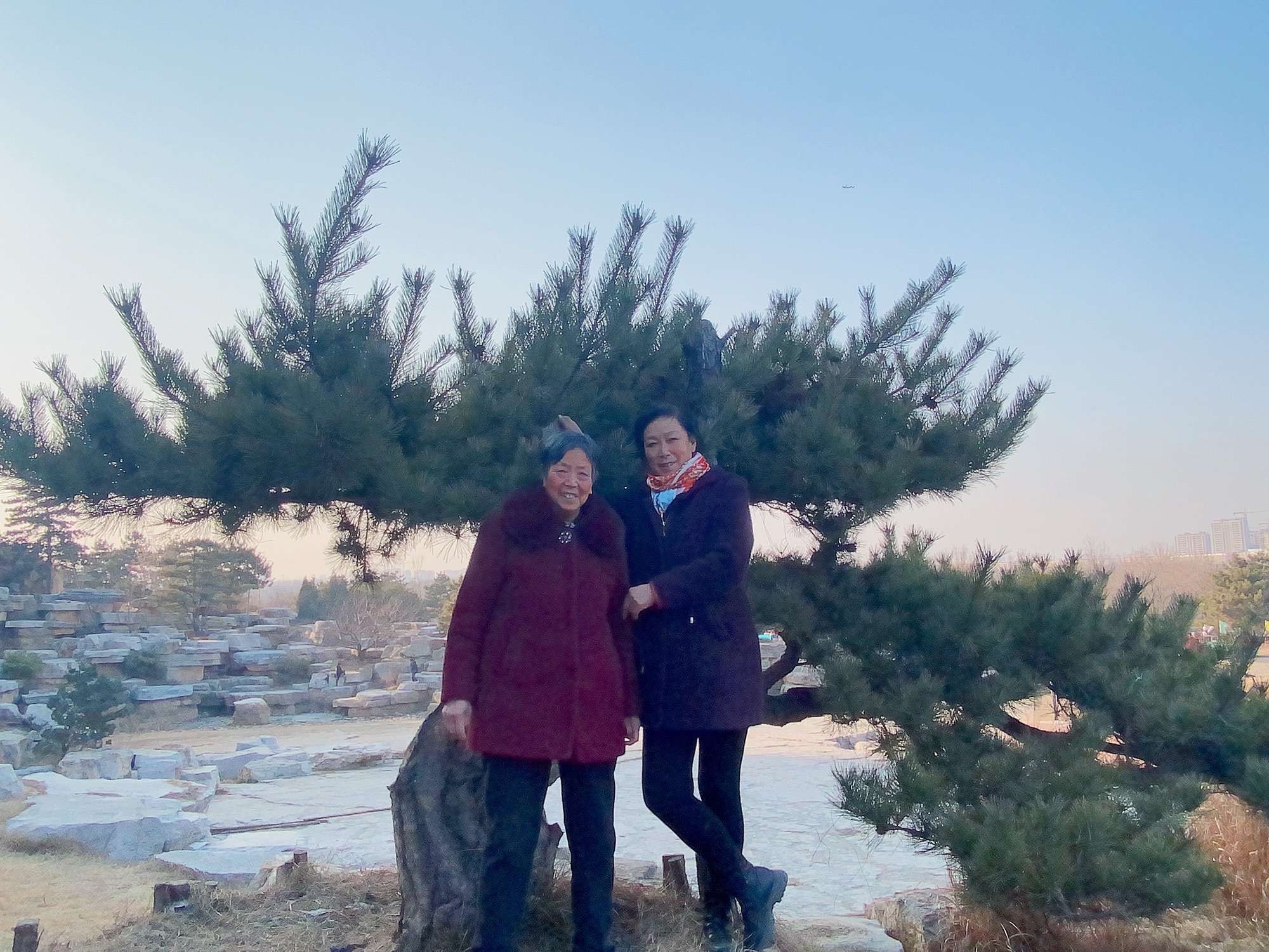 淄博天齐渊公园旅行图片 2