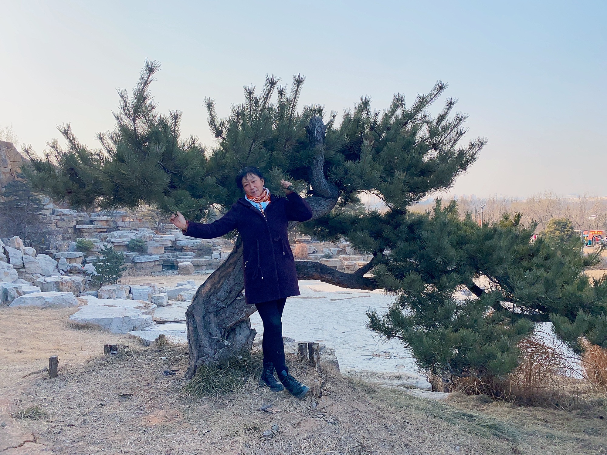 淄博天齐渊公园旅行图片 1
