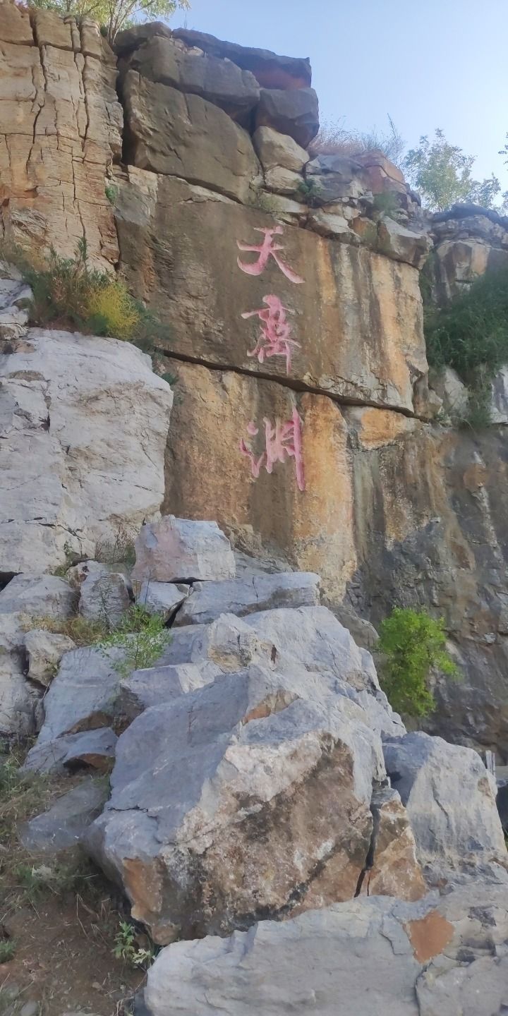 淄博天齐渊公园