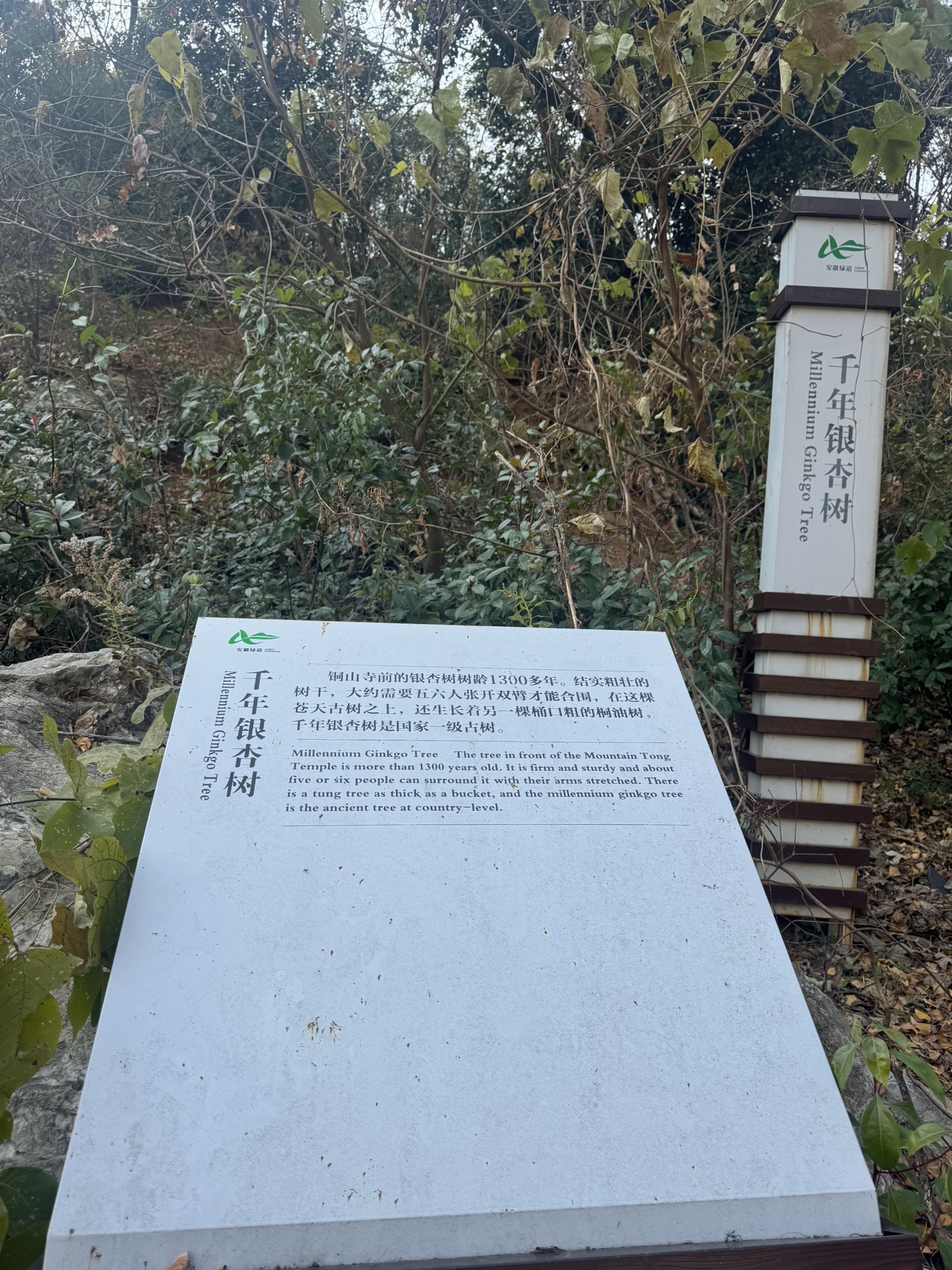 响水涧景区旅行图片 3