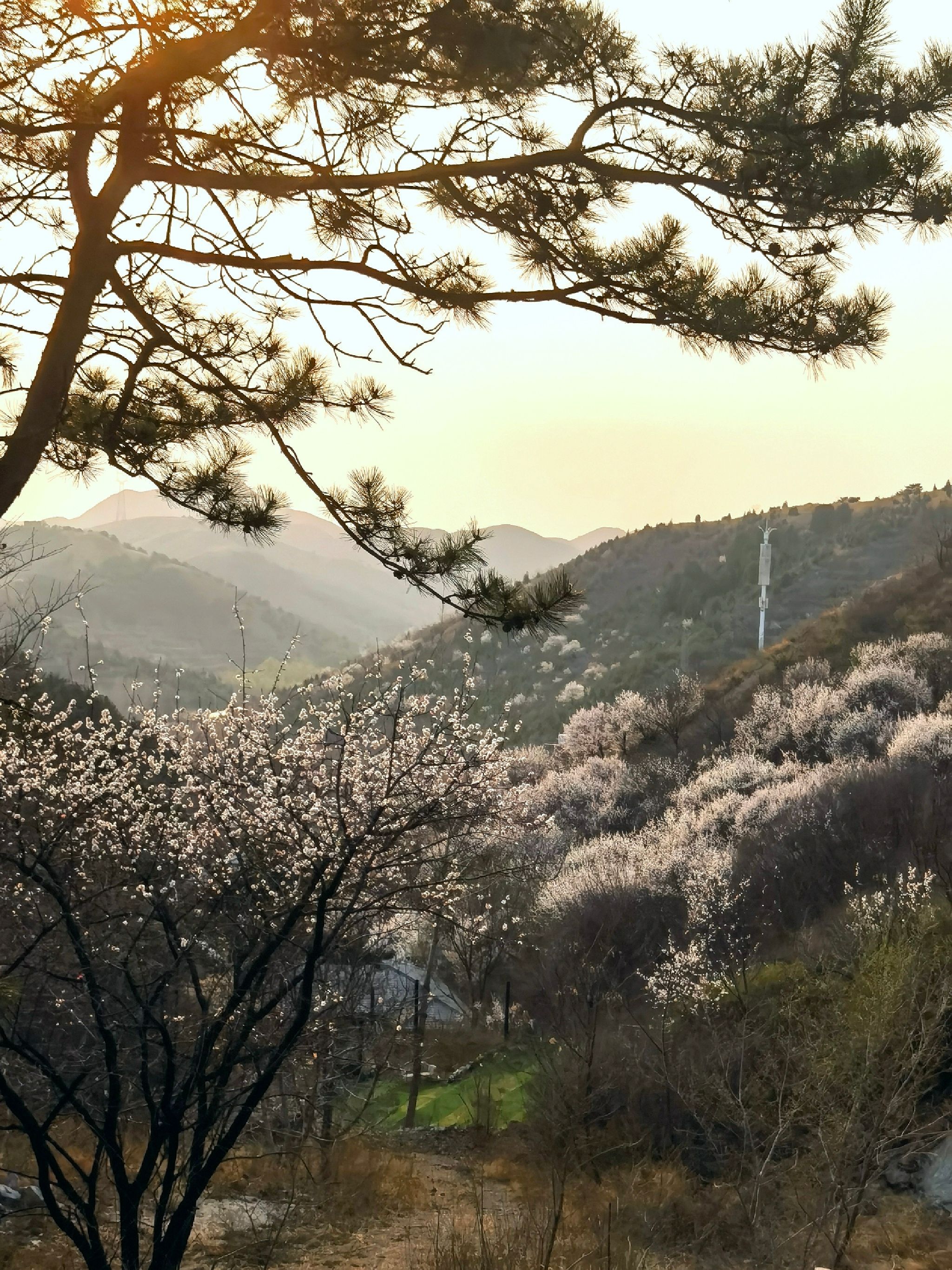 杨柳庄芳香谷旅行图片 1
