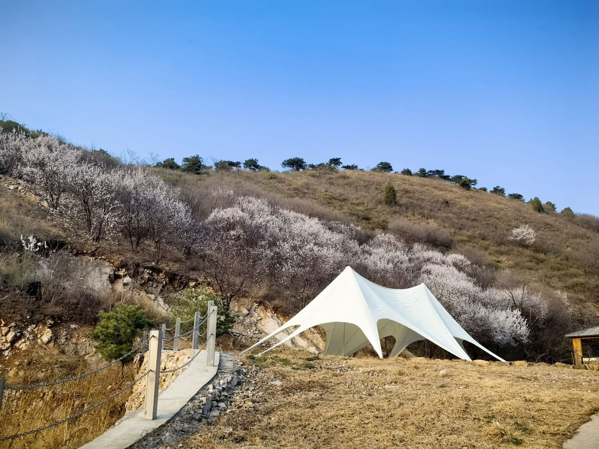 杨柳庄芳香谷旅行图片 1