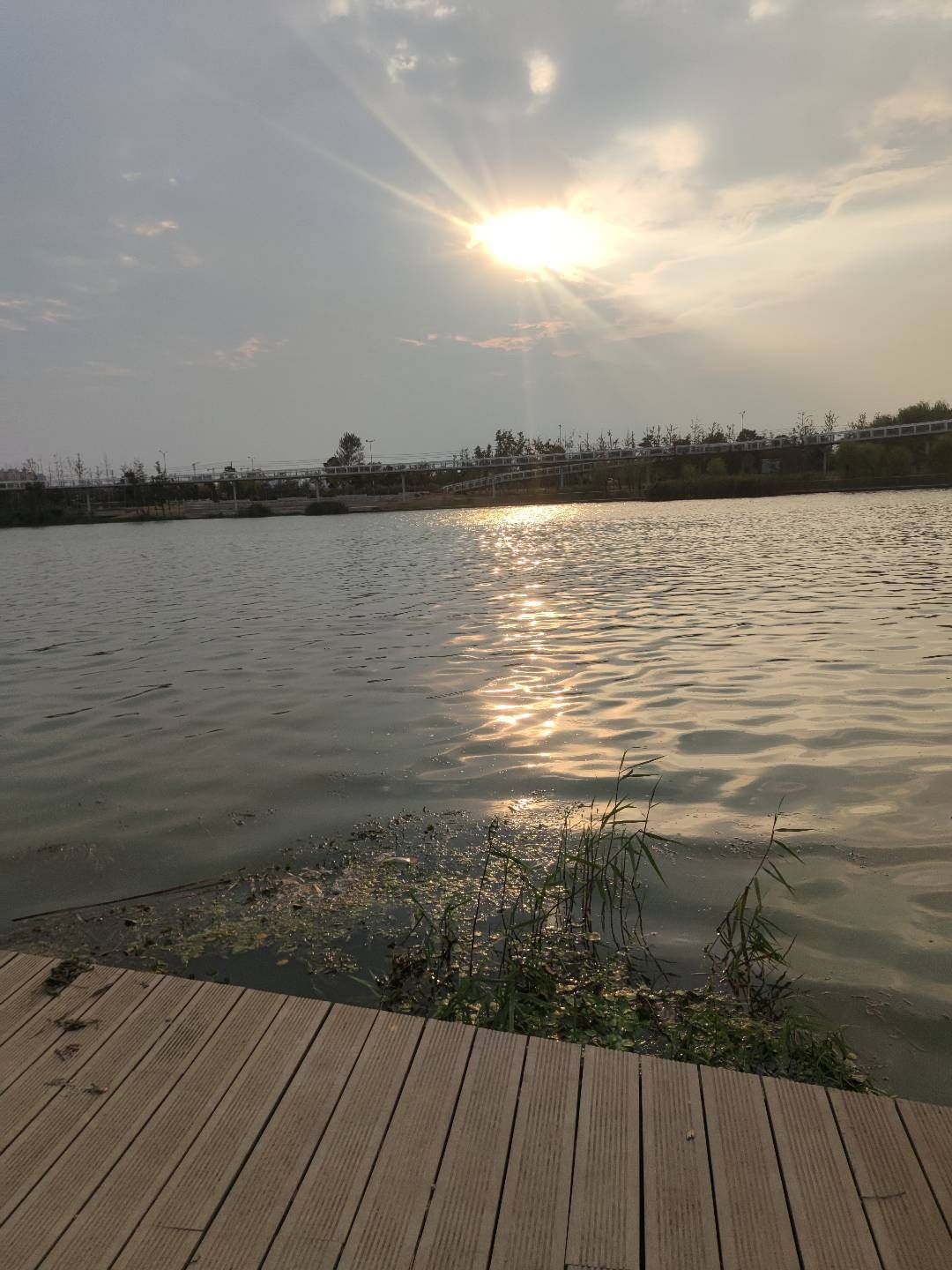 杜诗公园旅行图片 1