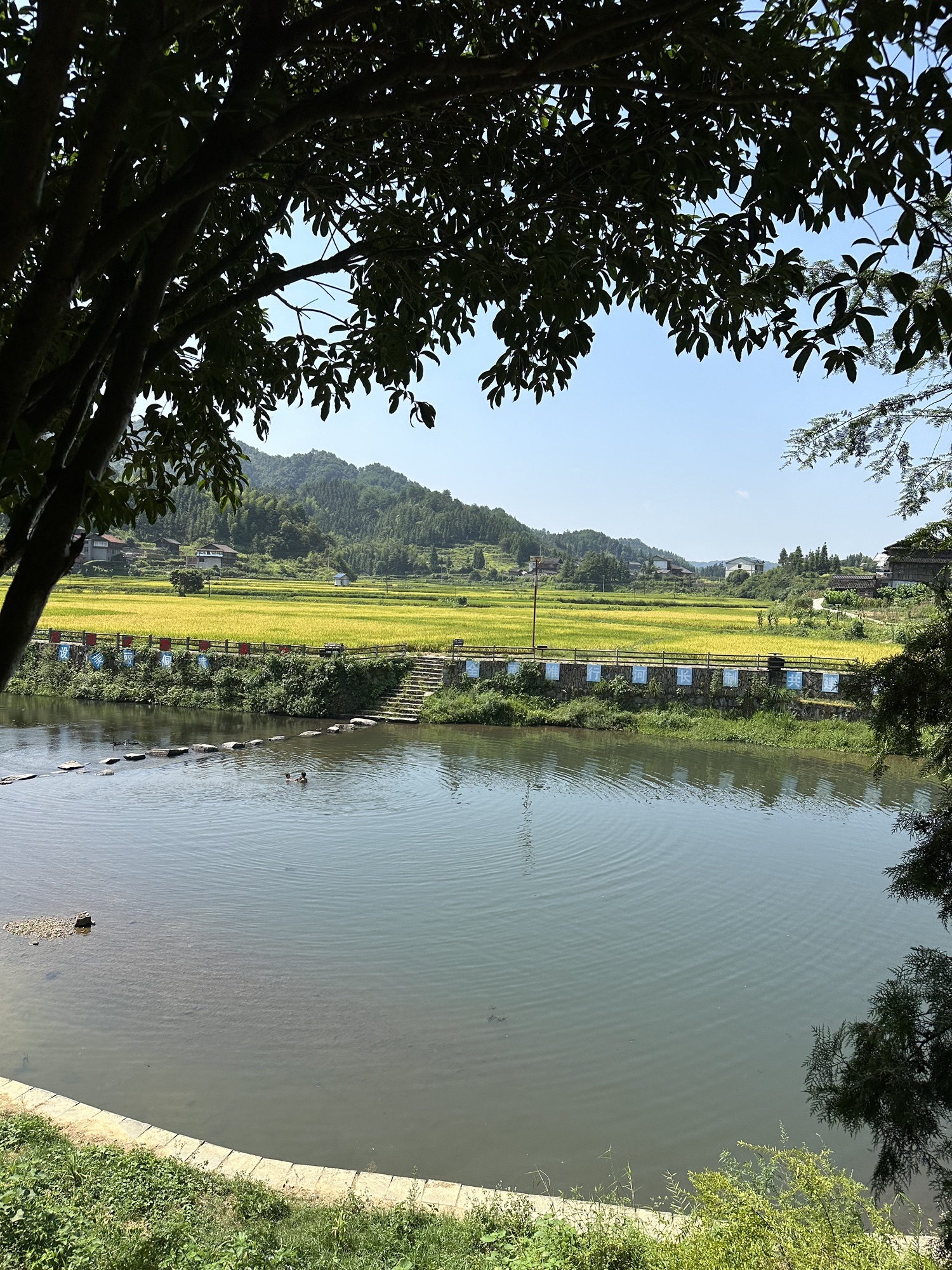 横岭古侗寨旅行图片 2