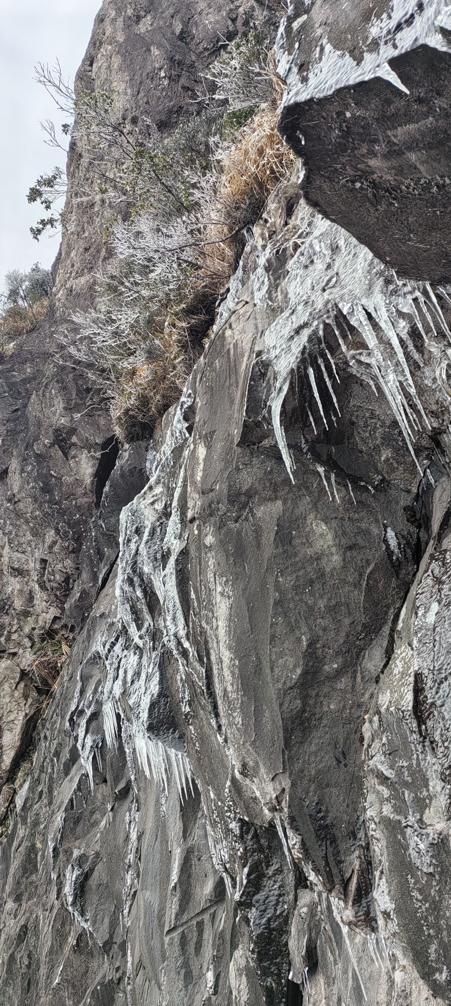 金鸡山森林公园旅行图片 3