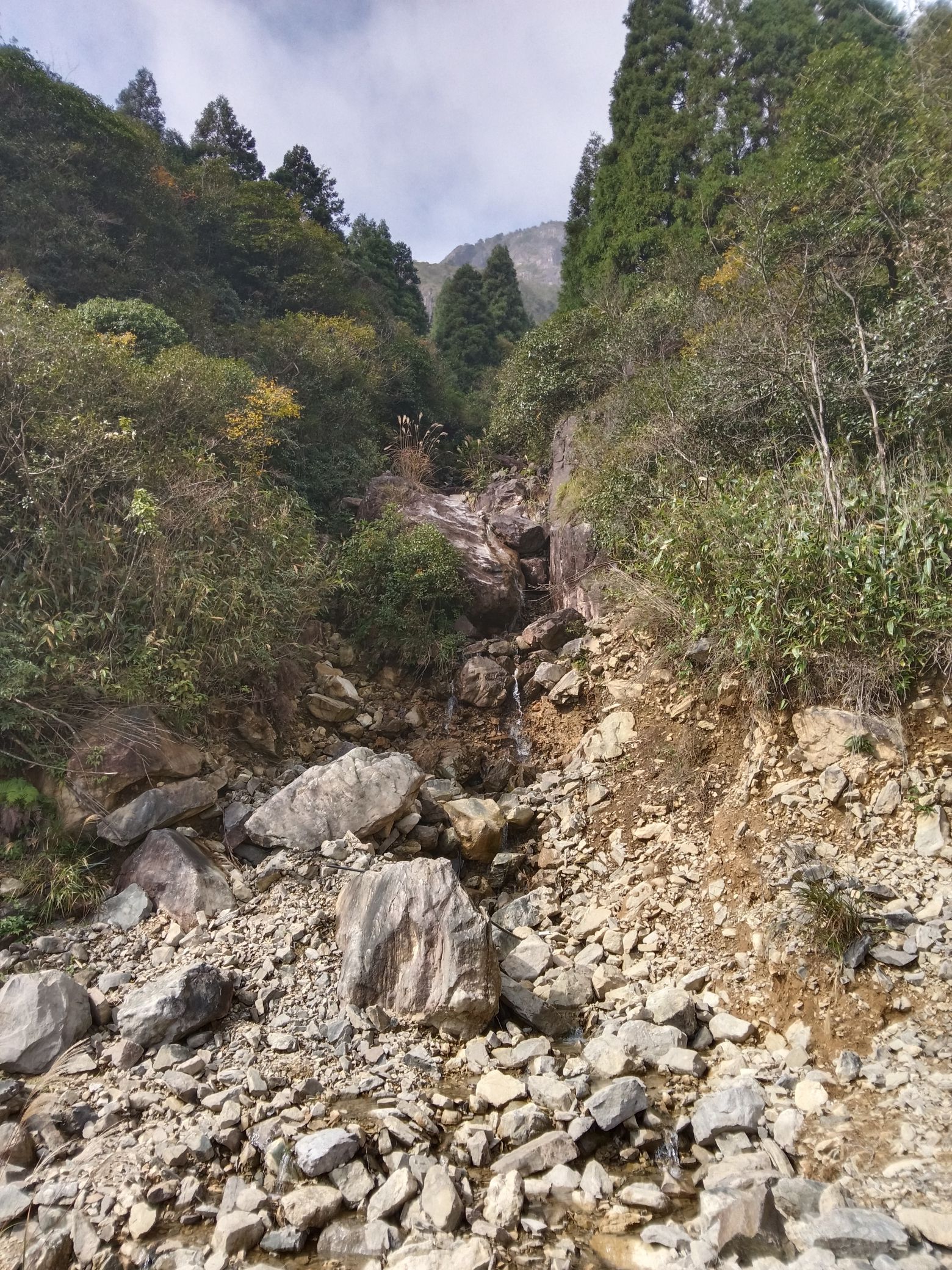 金鸡山森林公园旅行图片 2