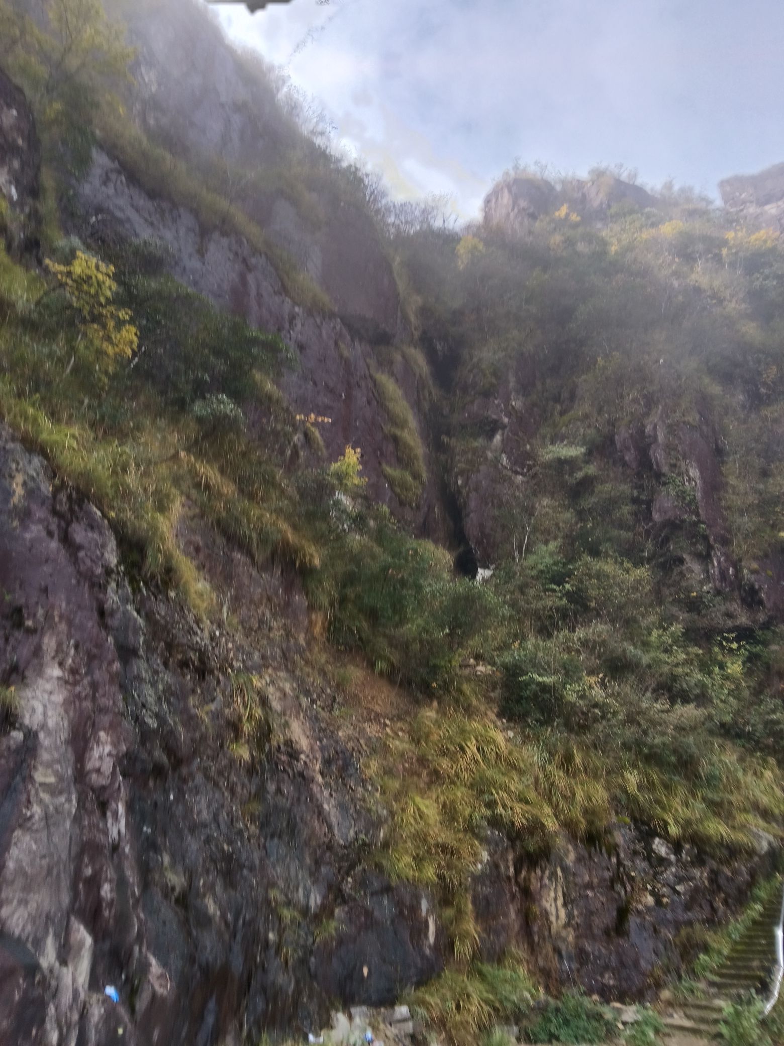 金鸡山森林公园旅行图片 3