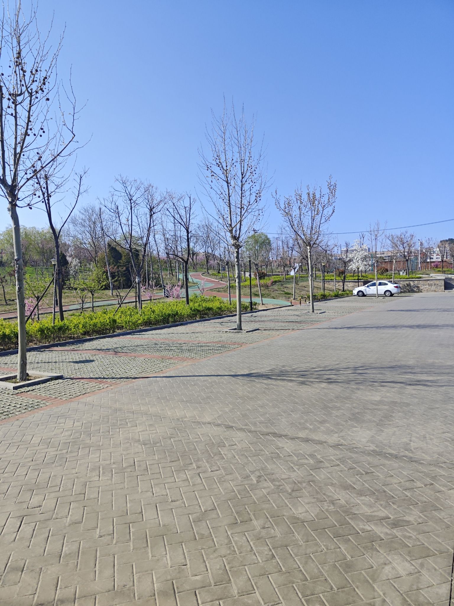 岚山区砚台山公园旅行图片 1