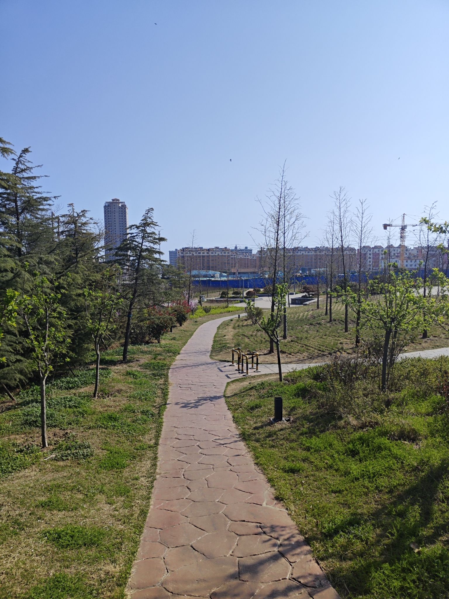 岚山区砚台山公园旅行图片 2