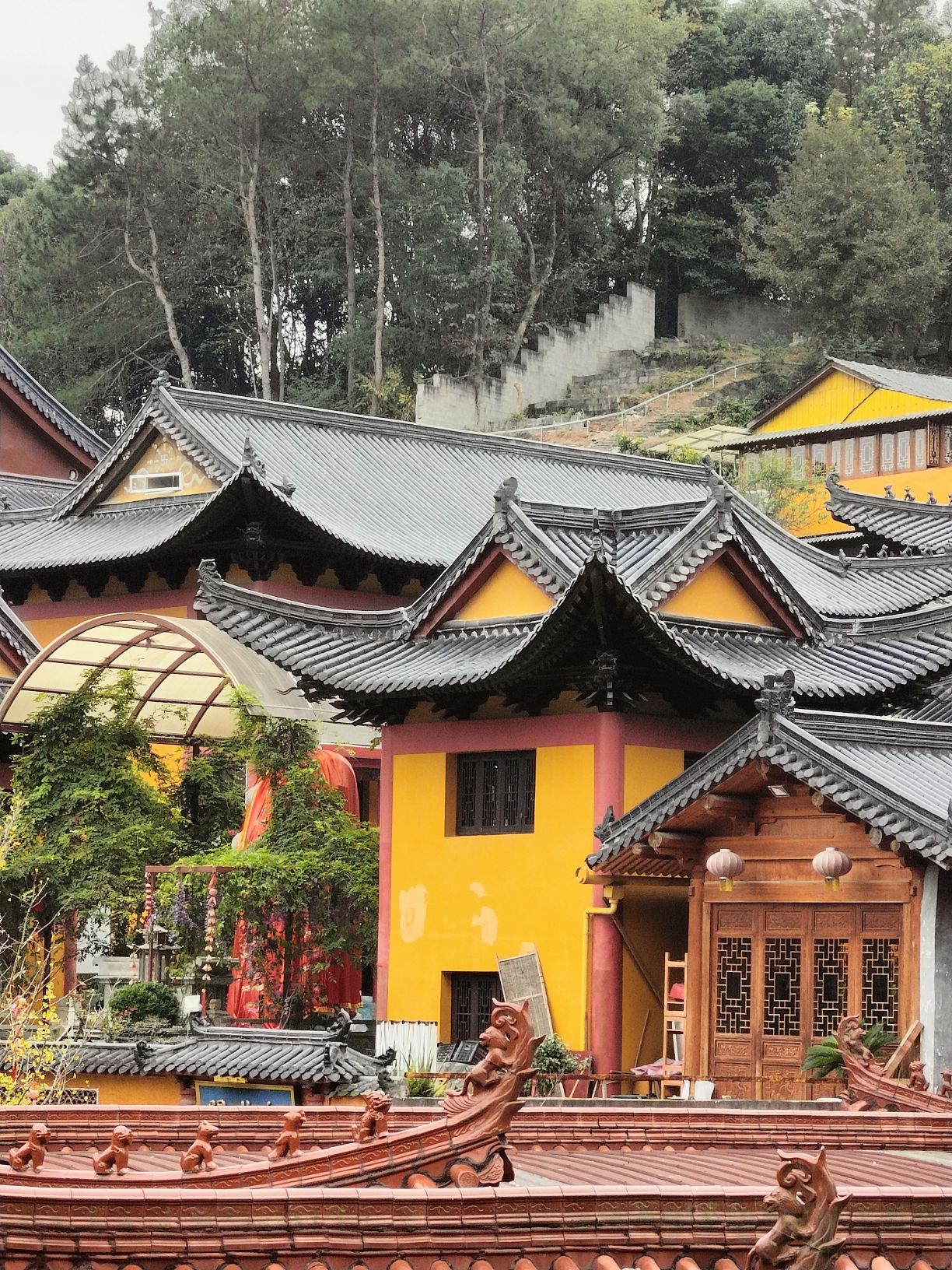 卧牛山公园旅行图片 1