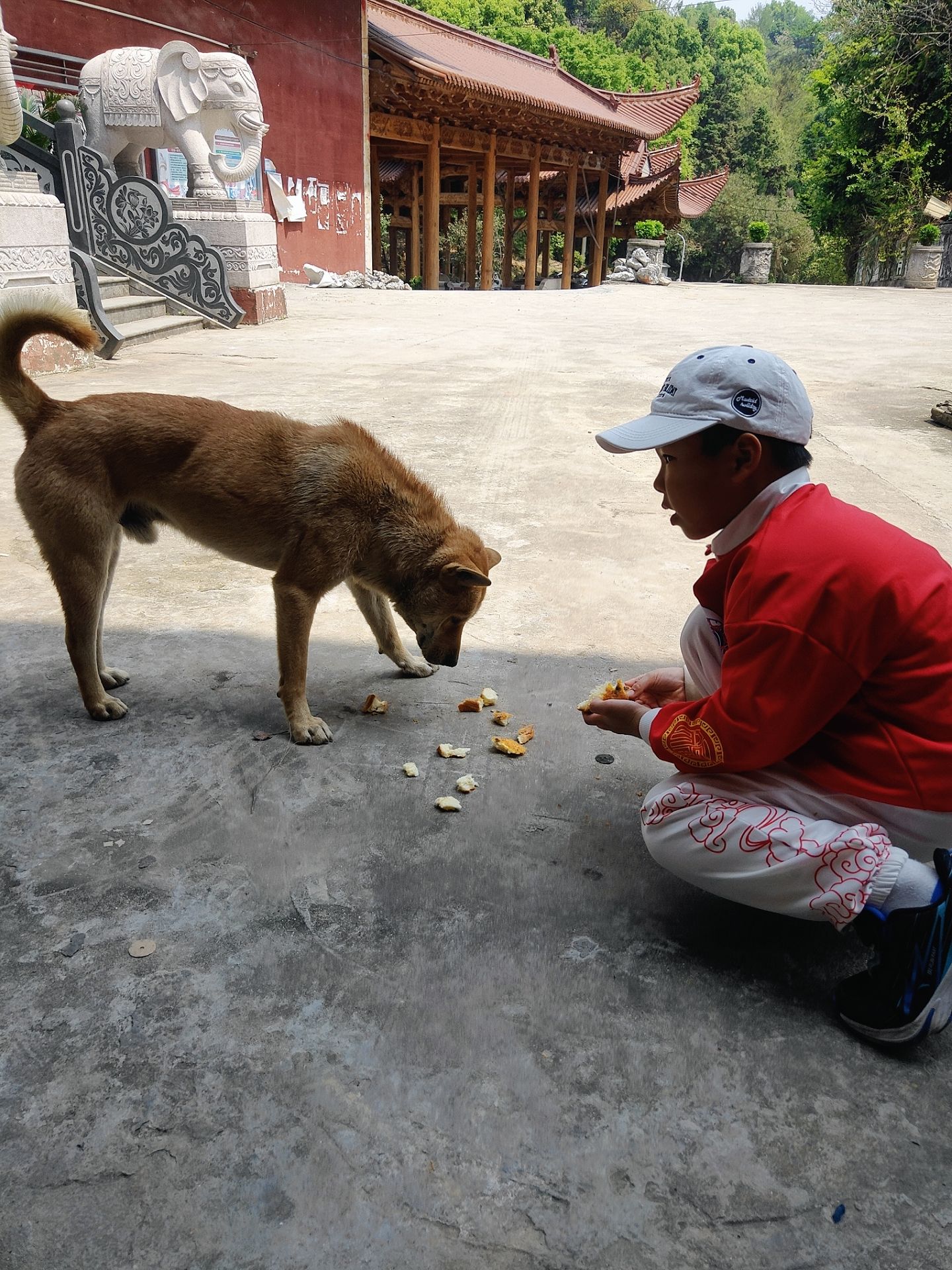 卧牛山公园旅行图片 3