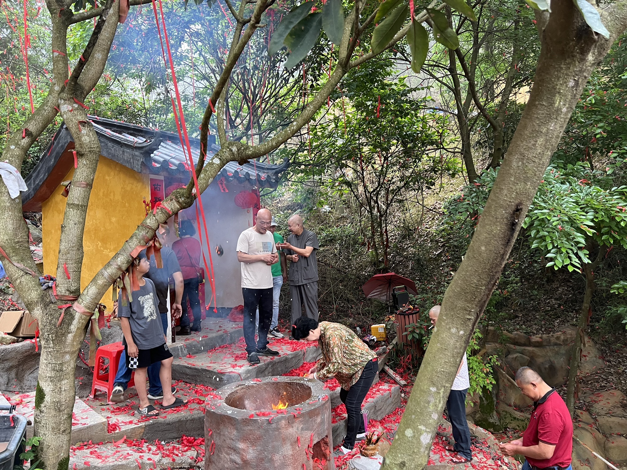 黎峰森林公园旅行图片 2