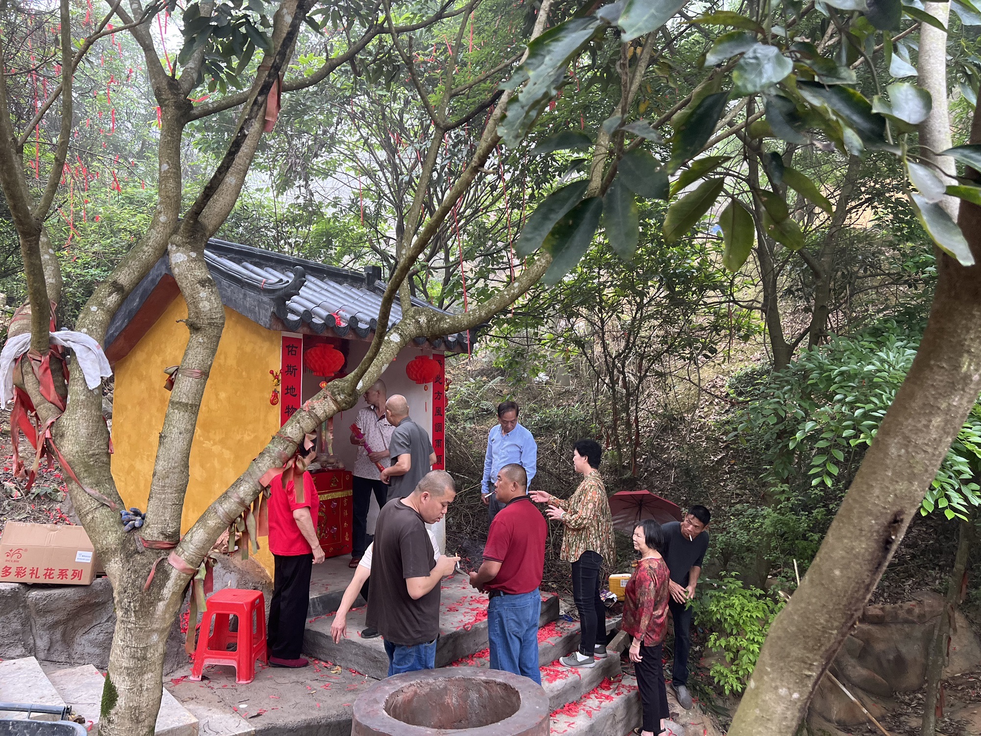 黎峰森林公园旅行图片 1