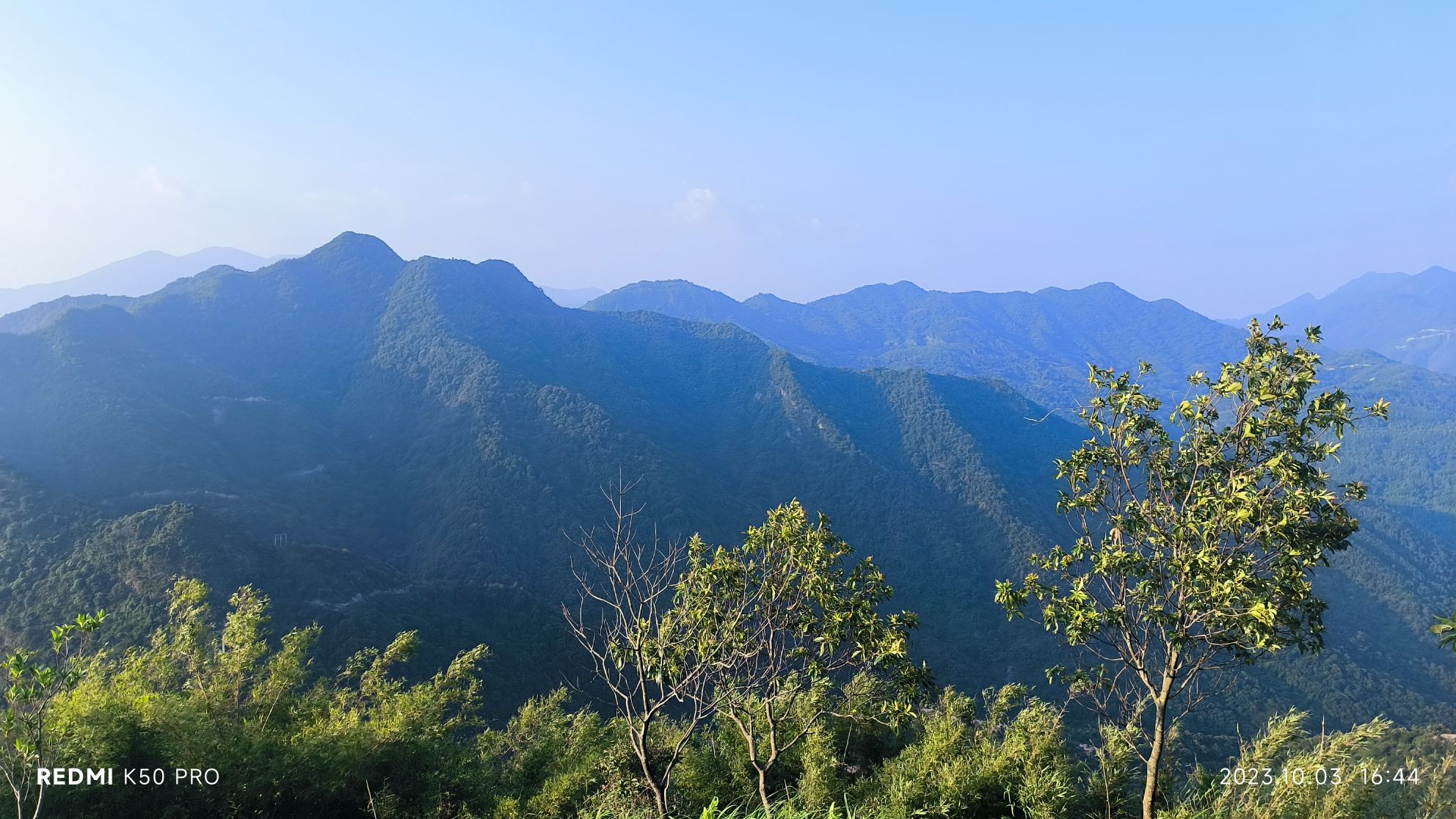 黎峰森林公园旅行图片 2