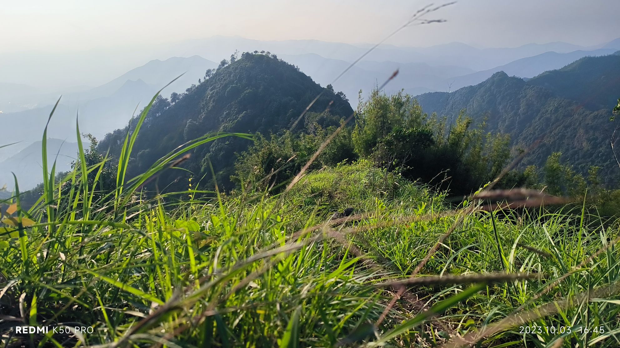 黎峰森林公园旅行图片 3