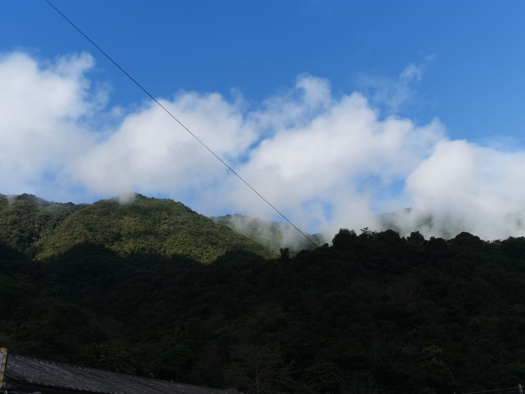 黎峰森林公园旅行图片 2