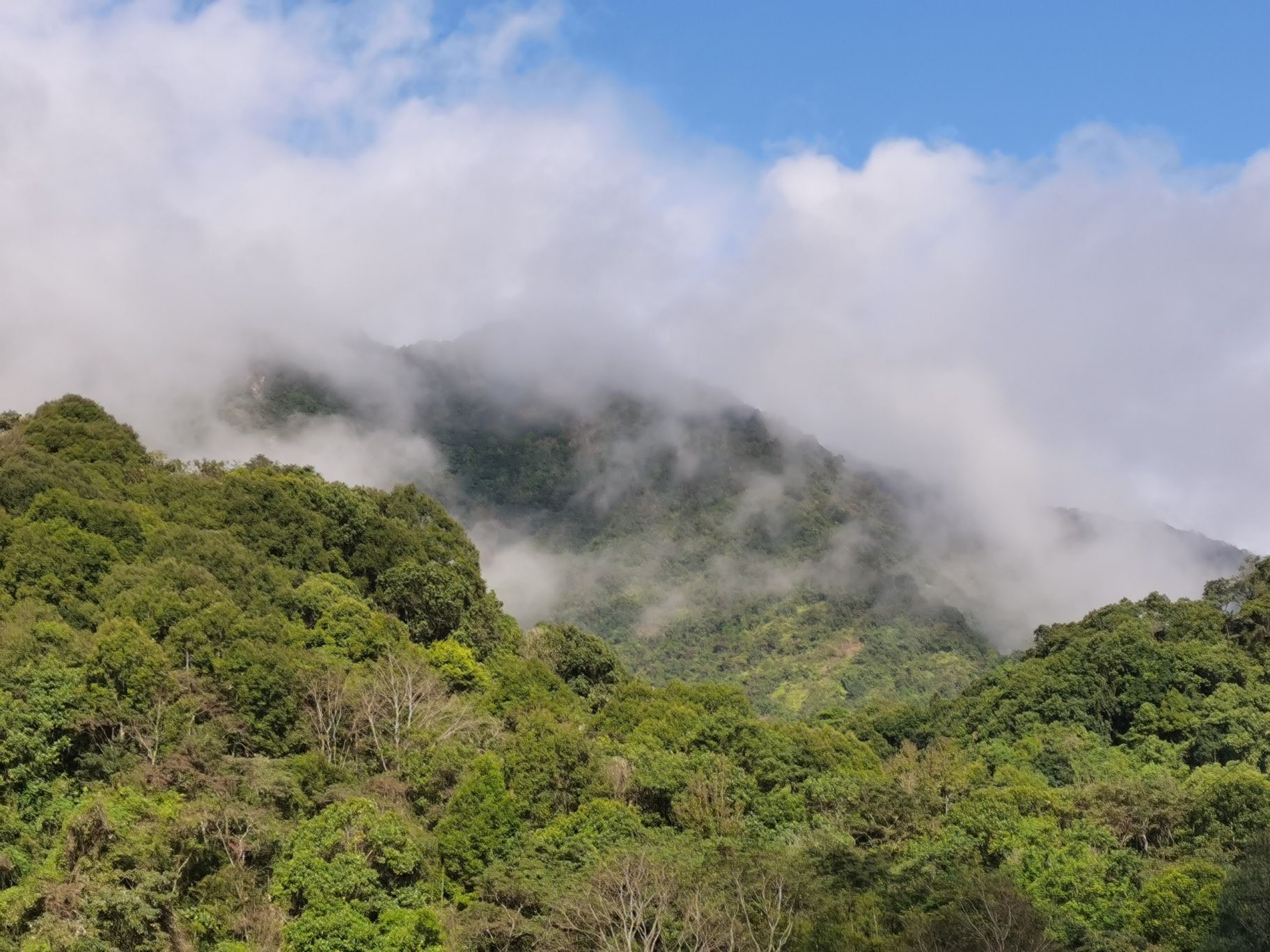 黎峰森林公园旅行图片 1