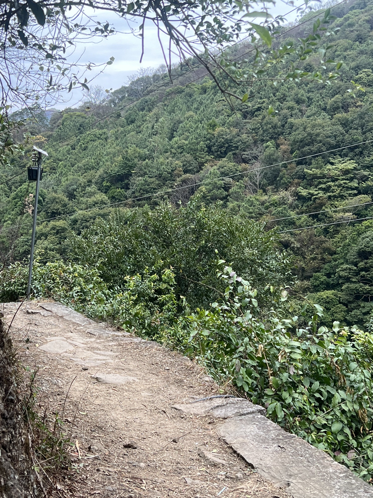 仙女潭(装修中)旅行图片 2