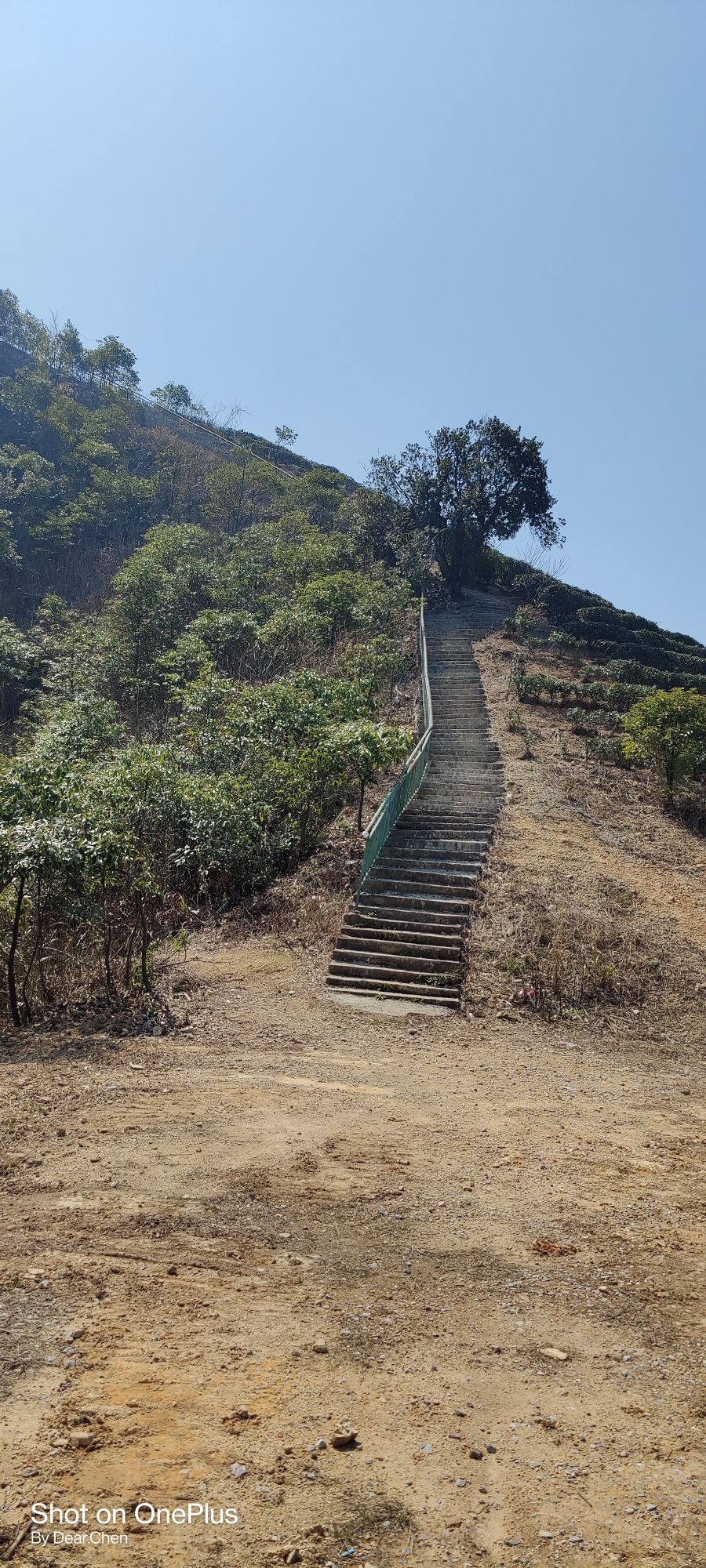 贺县紫顶旅行图片 3