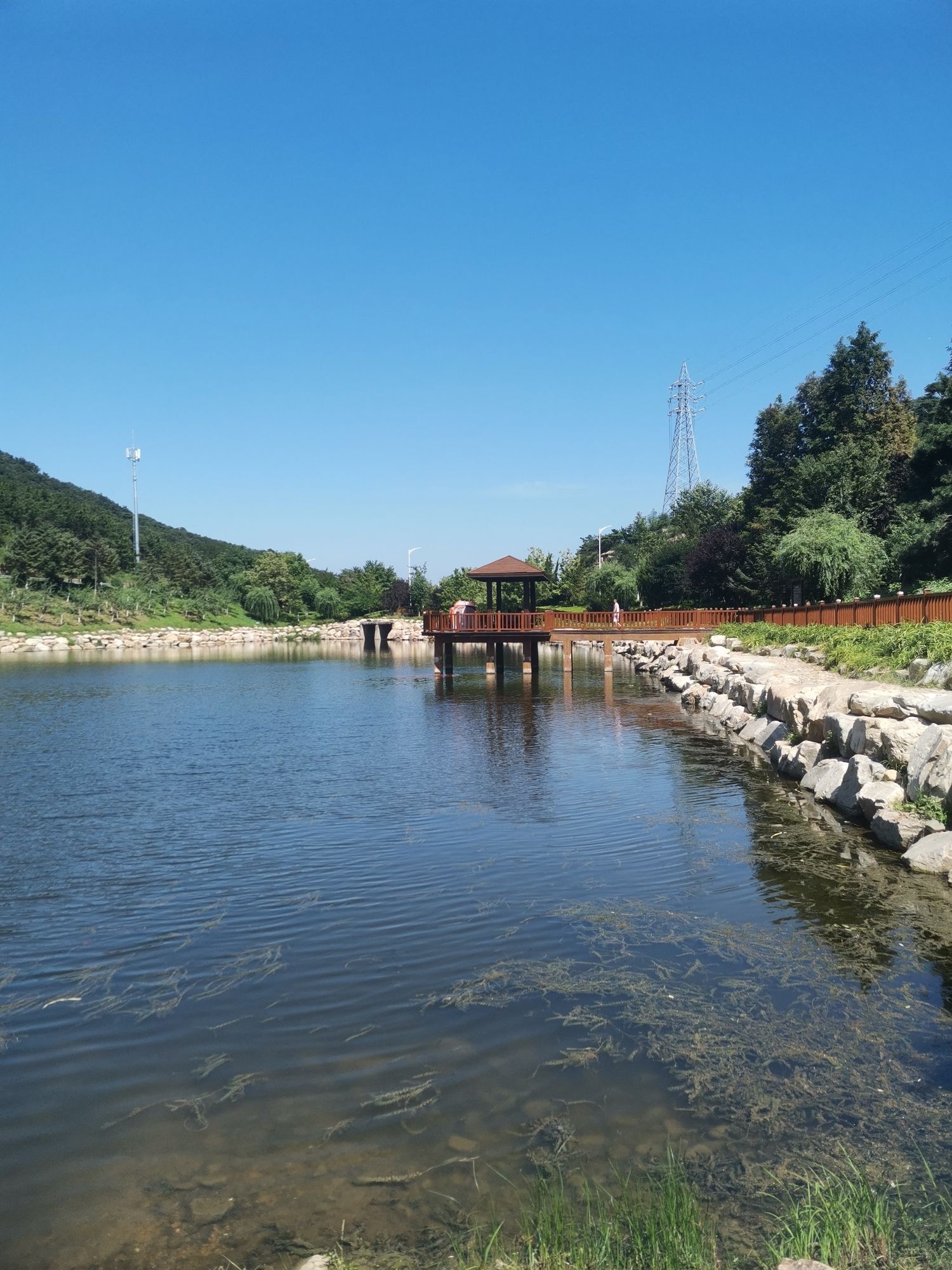 大连西郊国家森林公园-长青湖公园