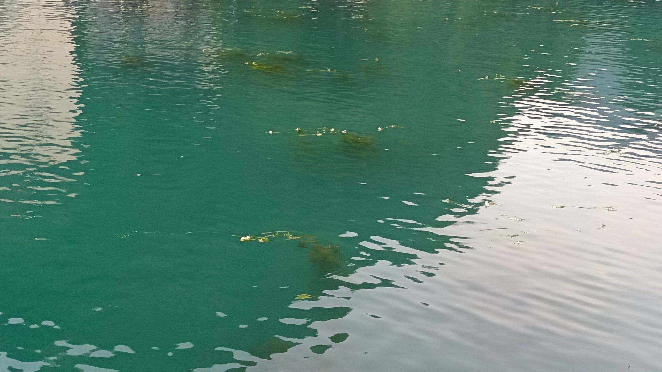 九灵天窗旅行图片 1