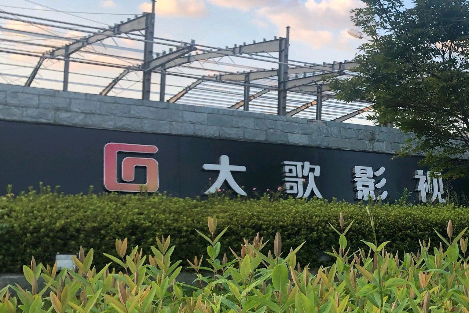 大歌影视