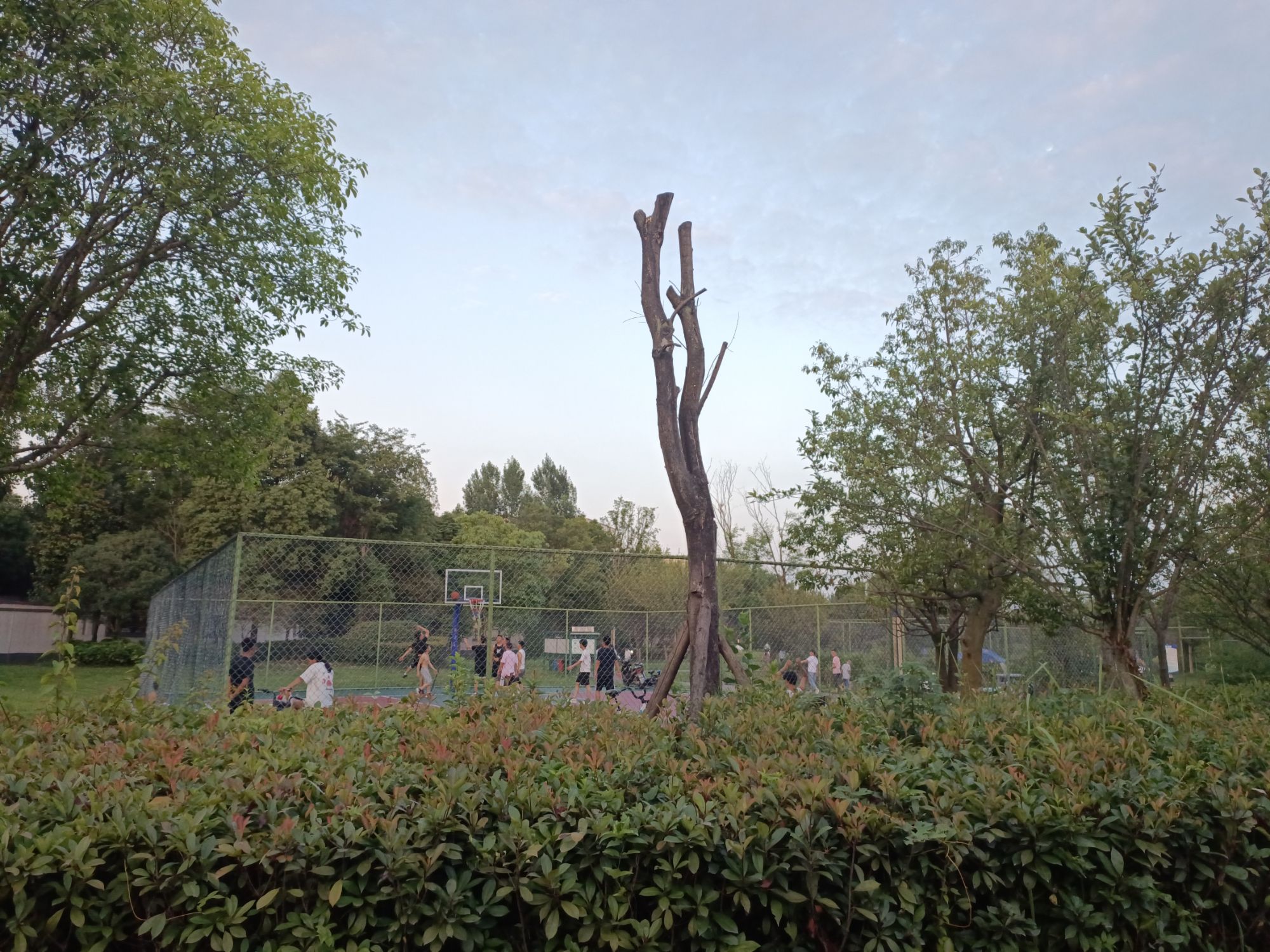 三医人才公园旅行图片 3