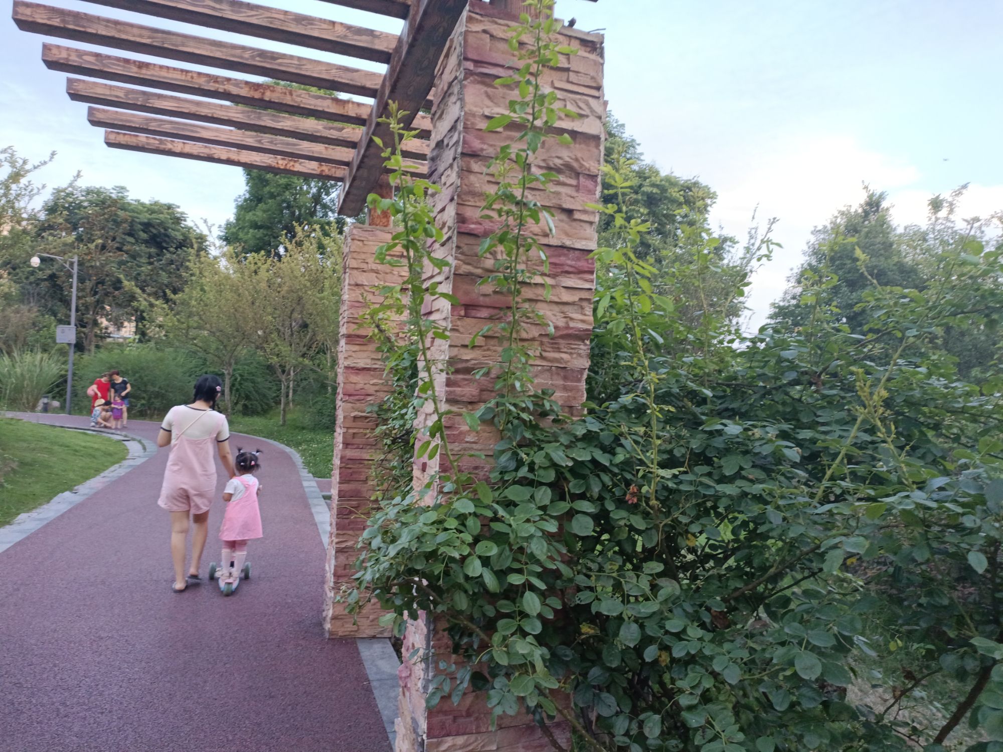 三医人才公园旅行图片 2