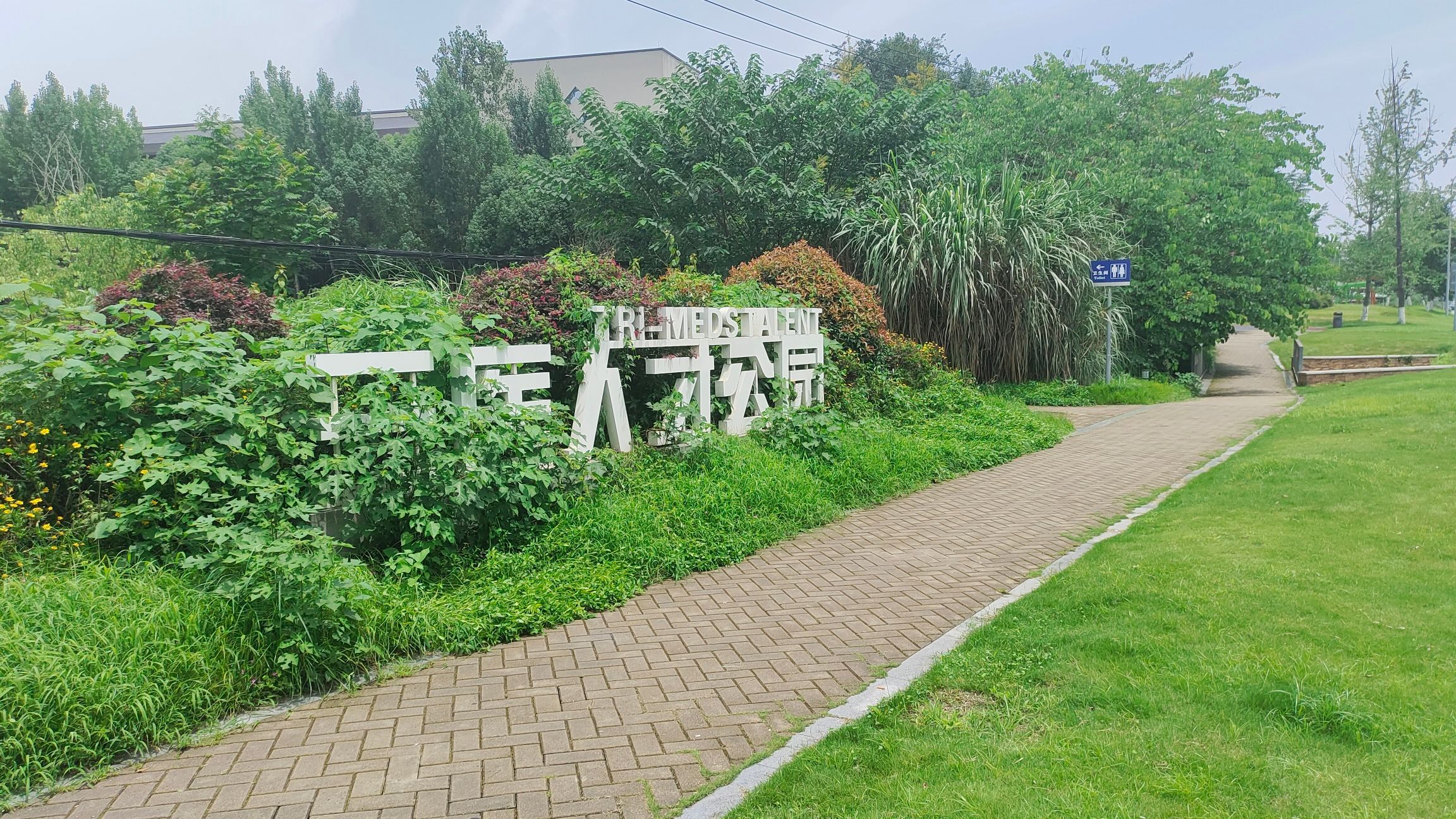 三医人才公园旅行图片 1