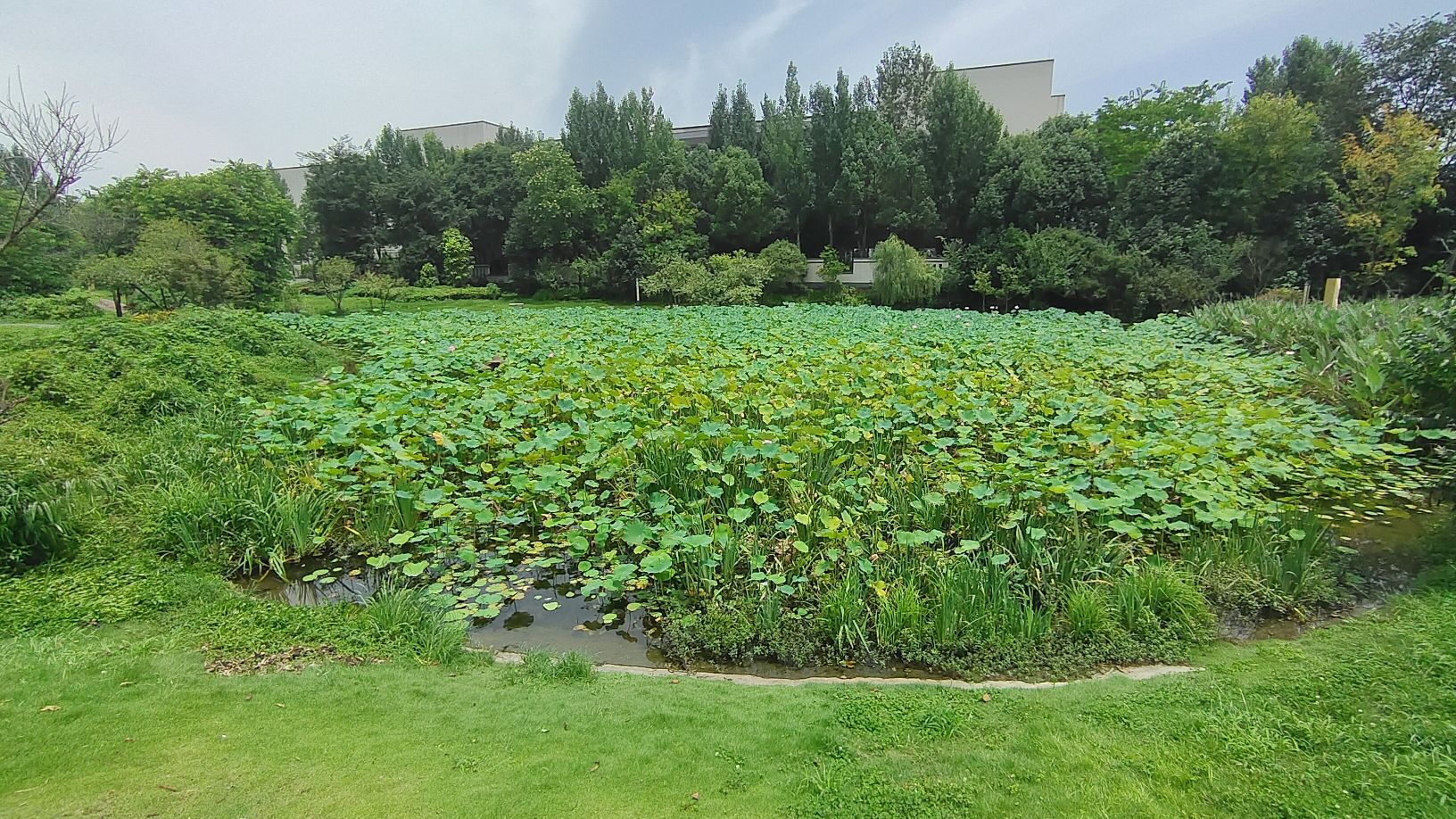 三医人才公园旅行图片 3
