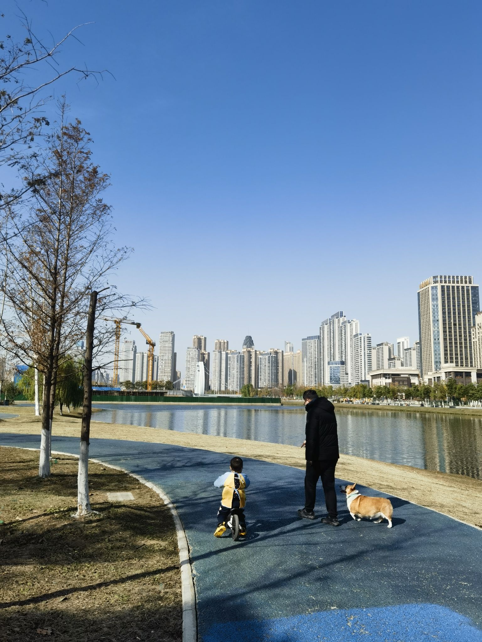 四新凤凰湖公园旅行图片 2