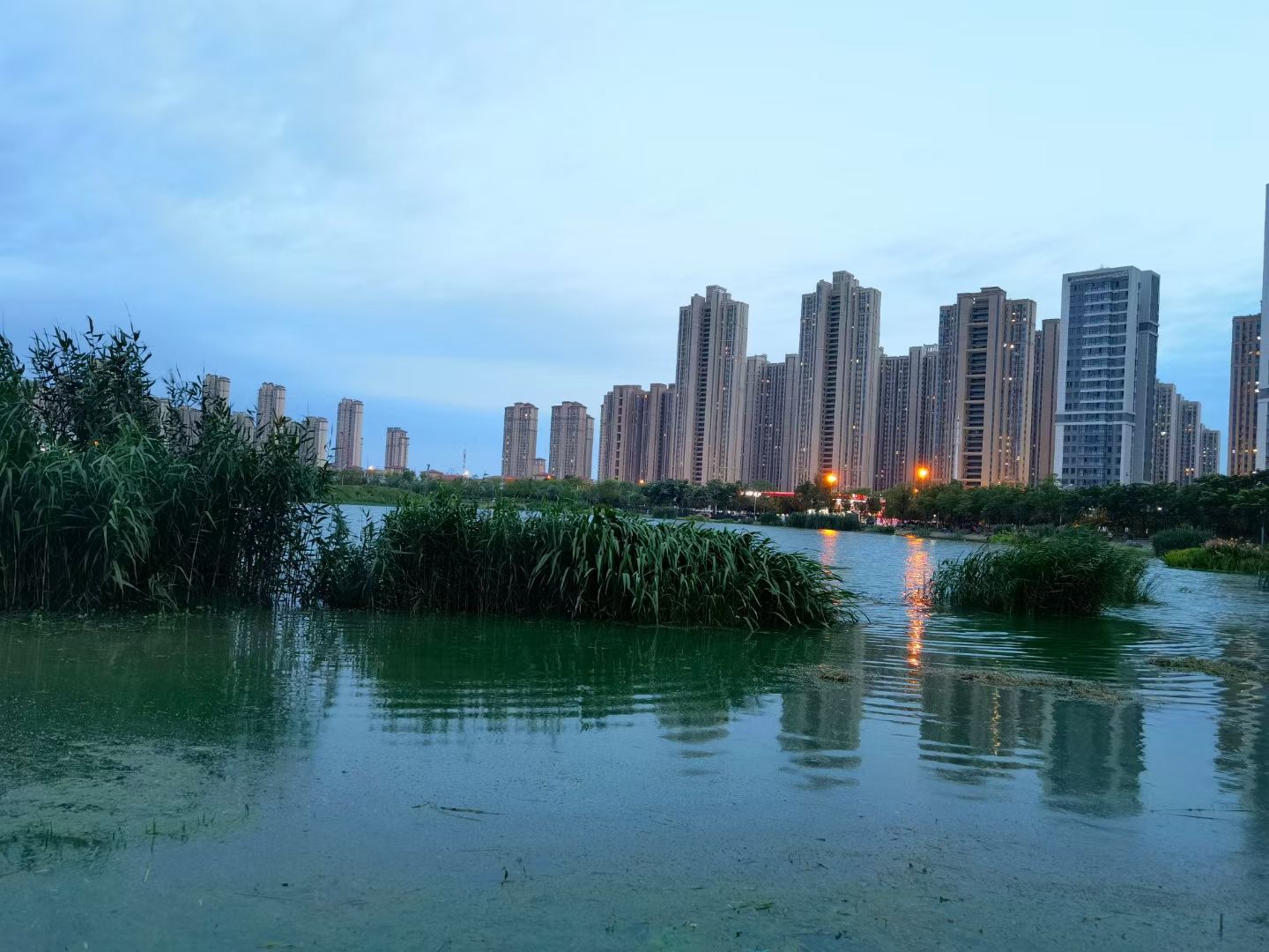 四新凤凰湖公园旅行图片 3