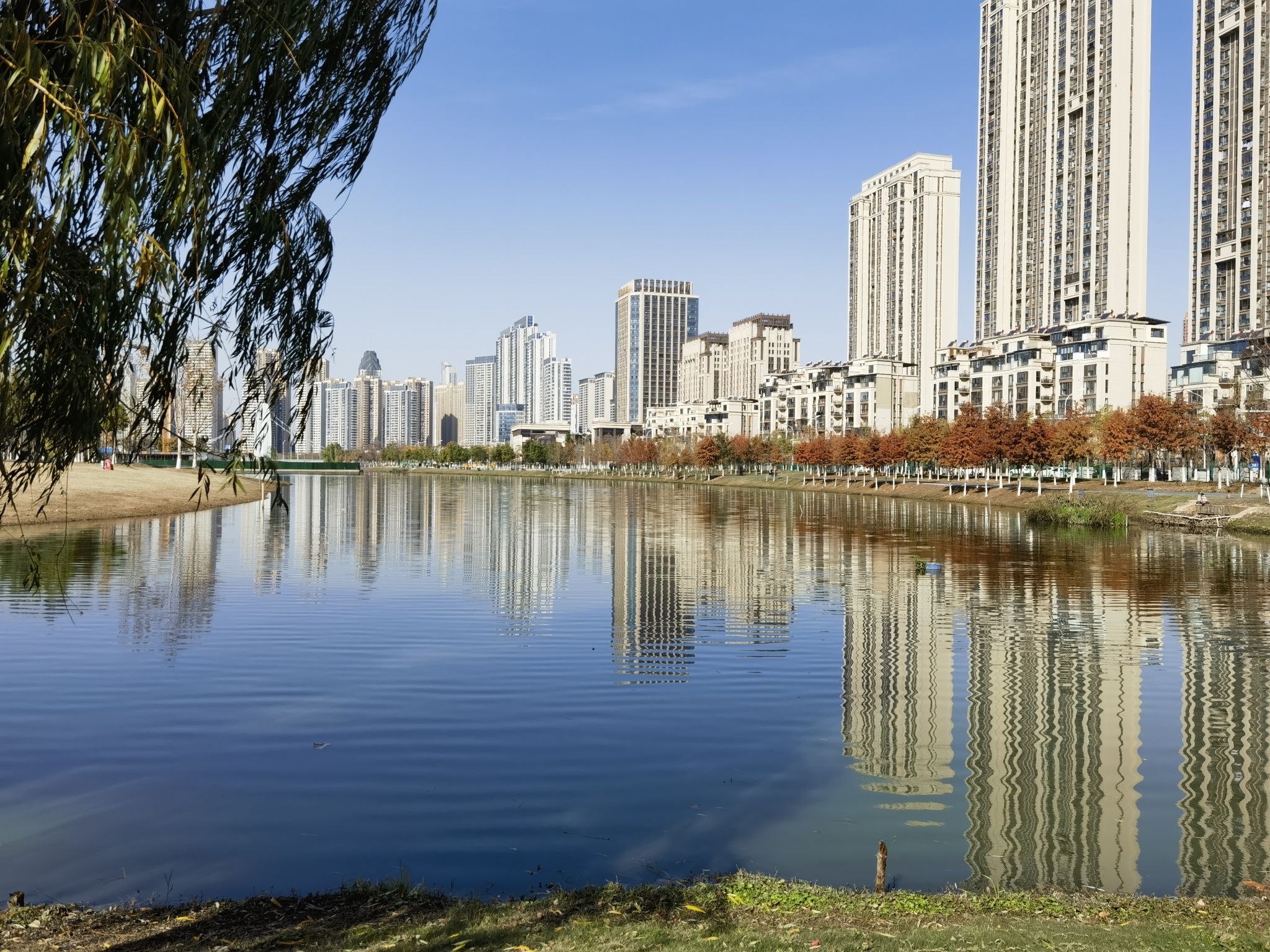 四新凤凰湖公园旅行图片 1