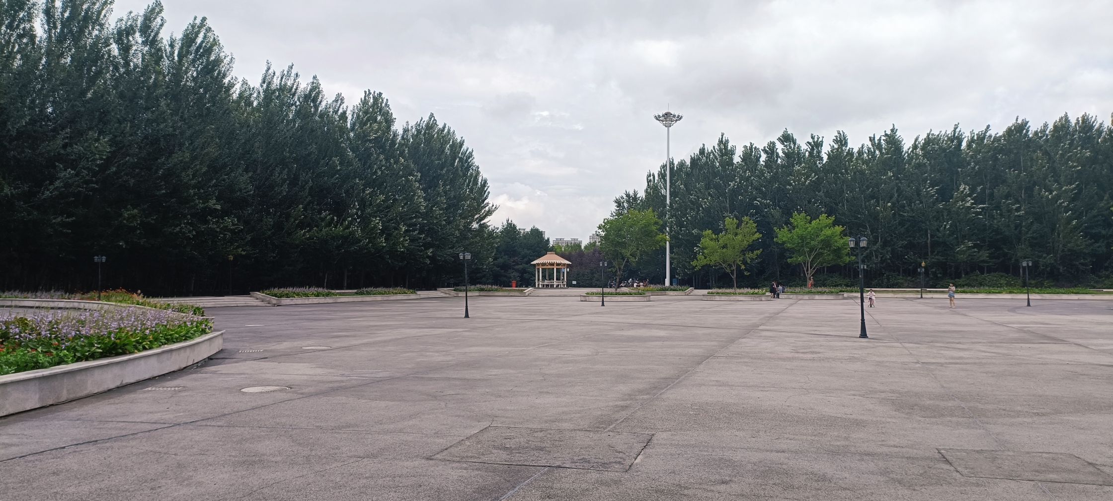 府西植物园旅行图片 1
