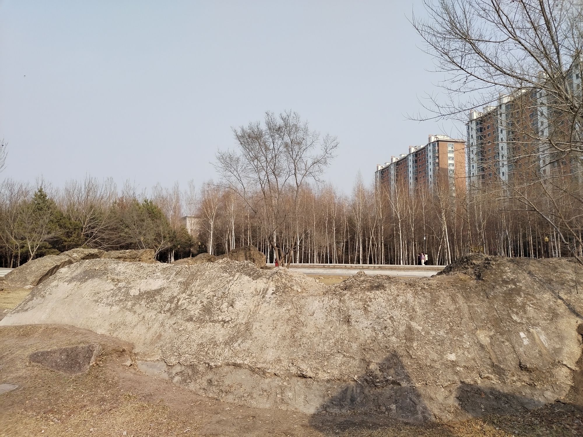 府西植物园旅行图片 2