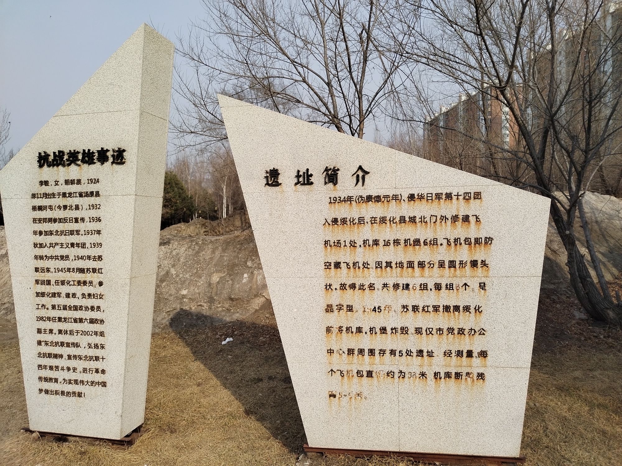 府西植物园旅行图片 1