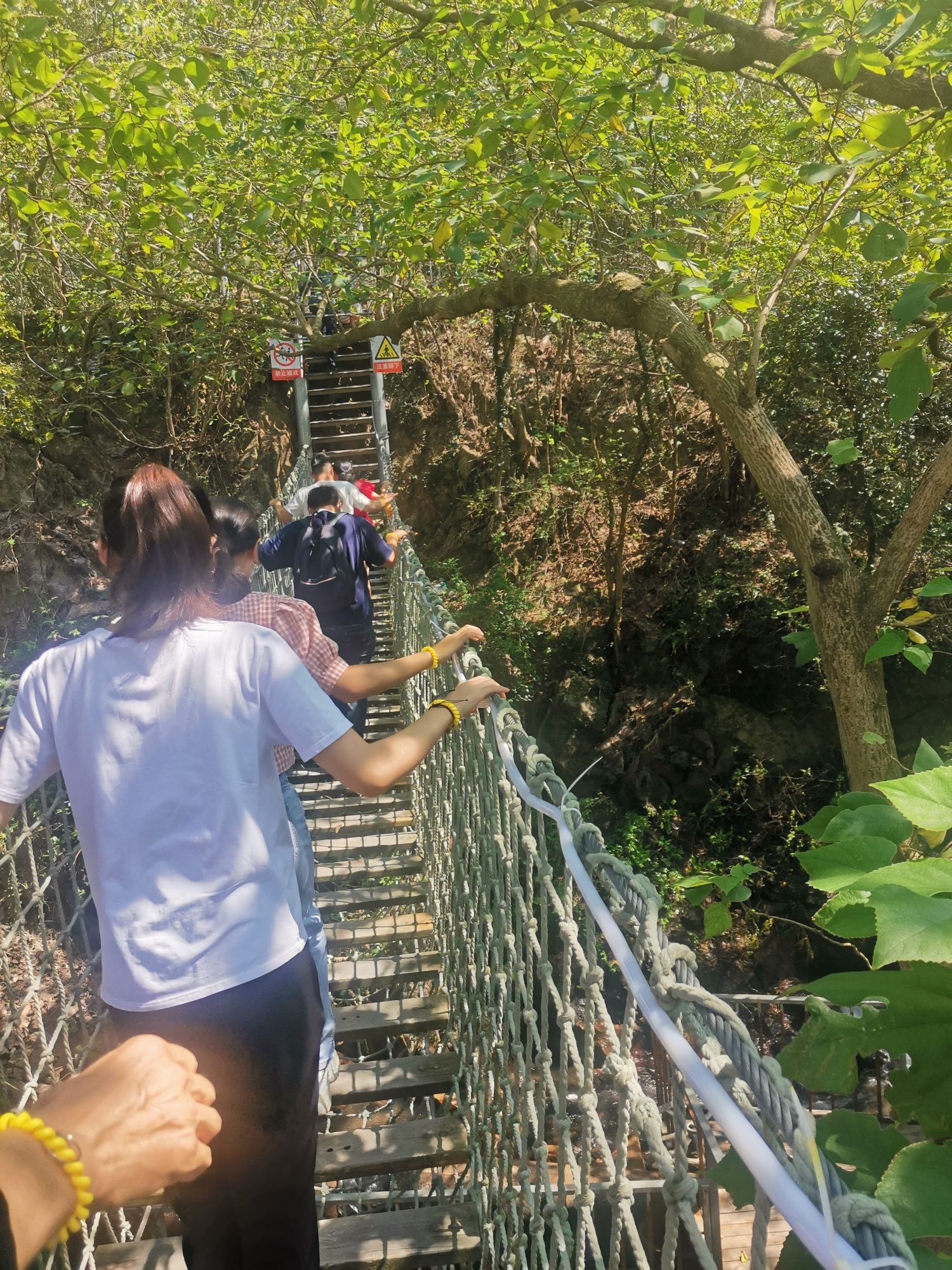 九龙湖精灵谷旅行图片 3
