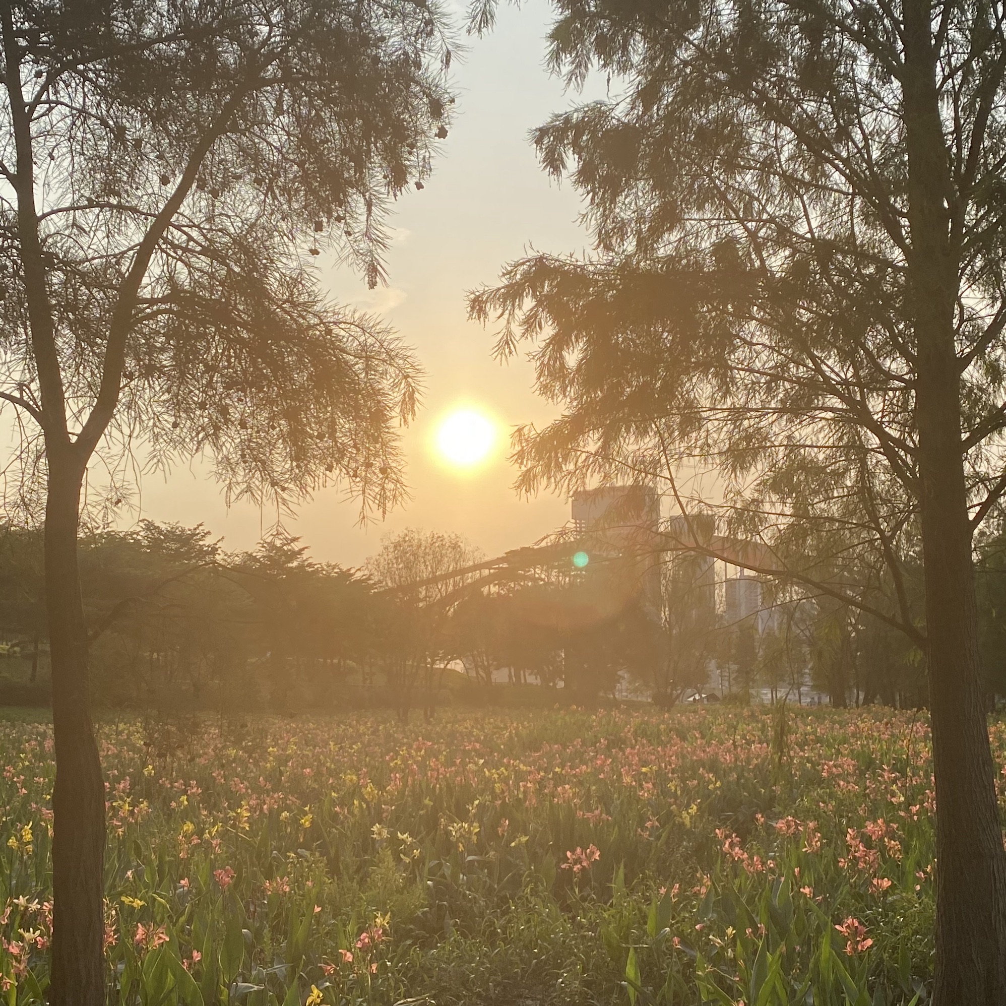 佛山乐从国家水利风景区旅行图片 1