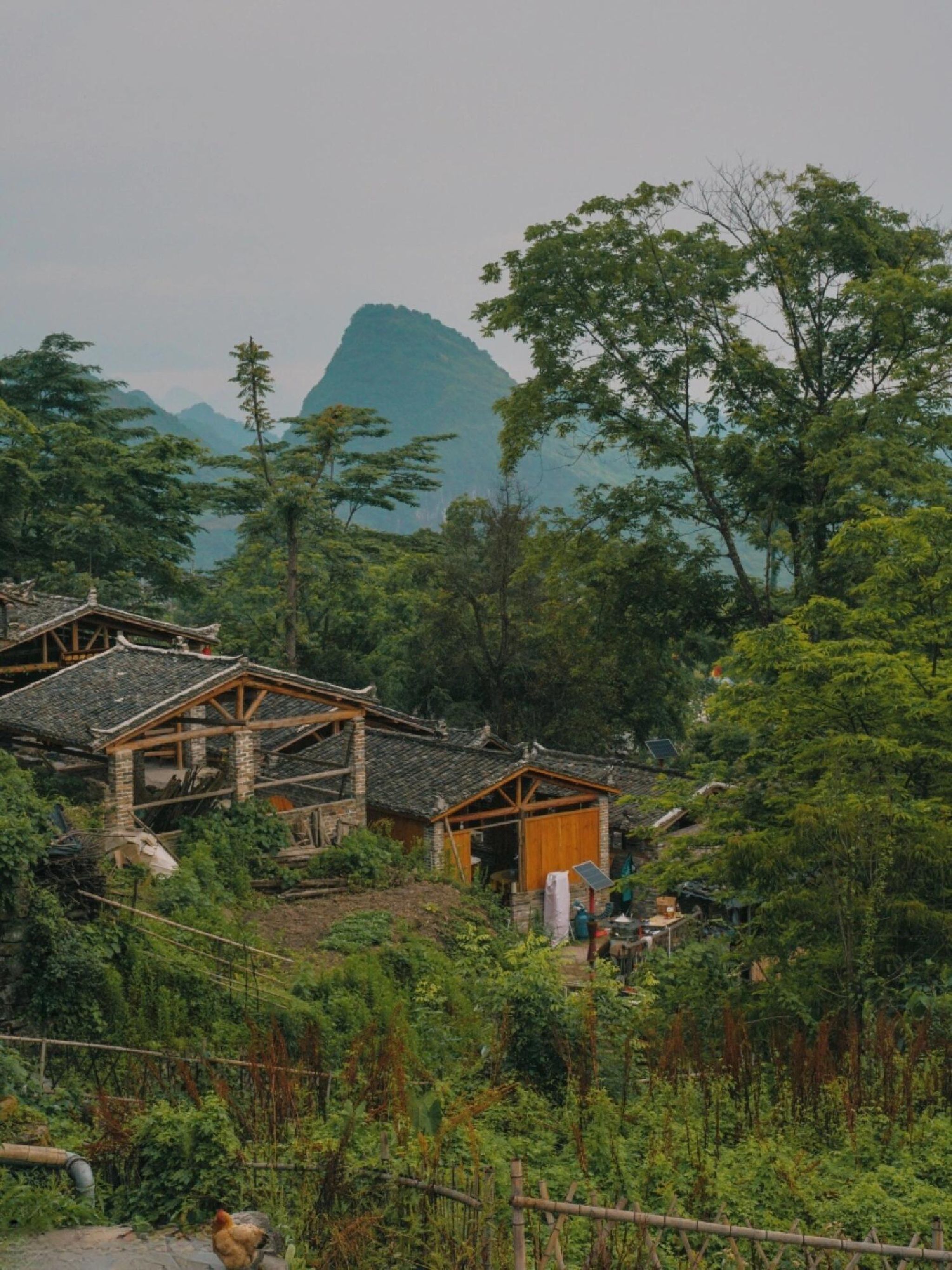 清湾瑶寨旅行图片 1