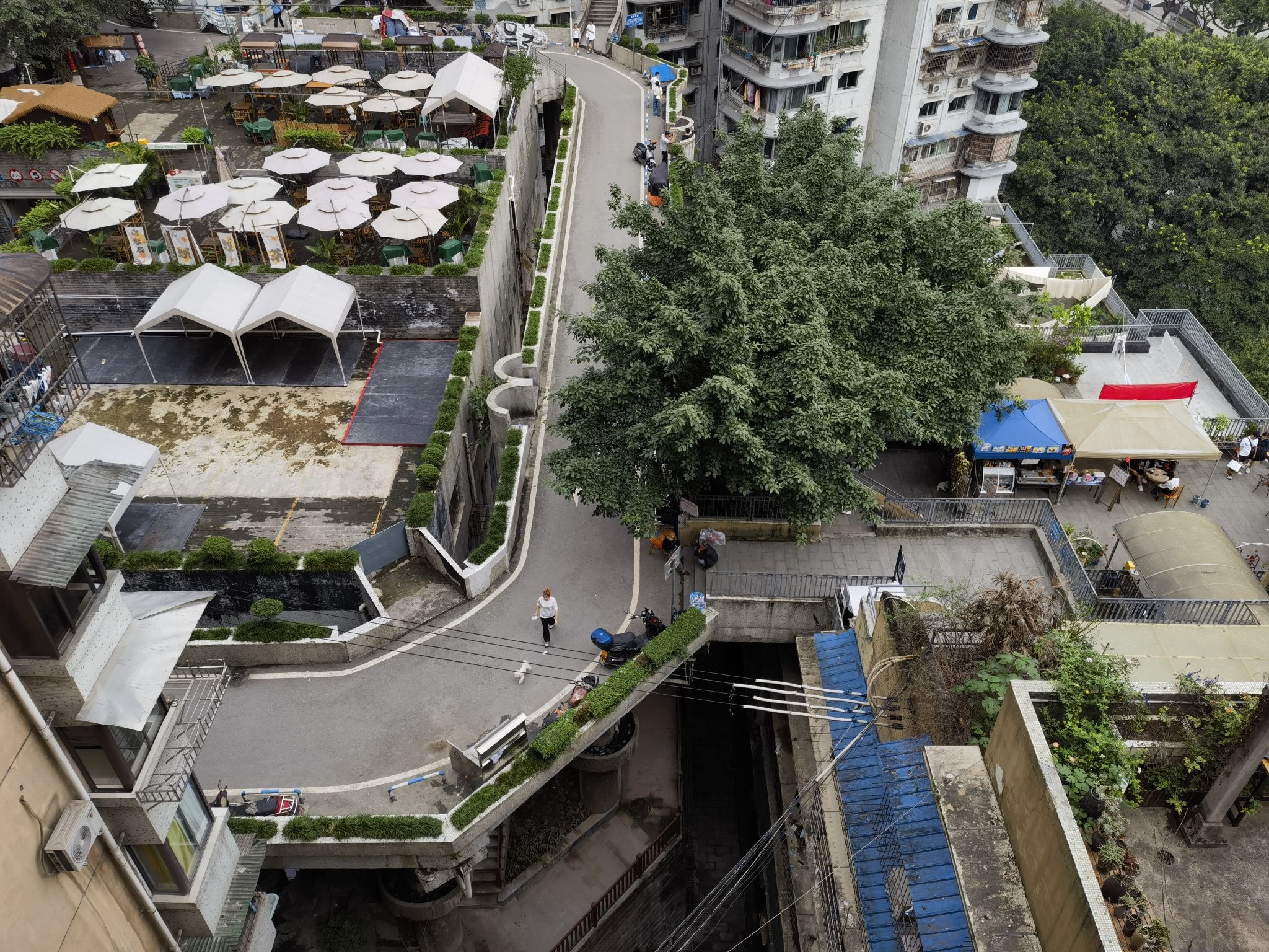 白象街心公园旅行图片 2