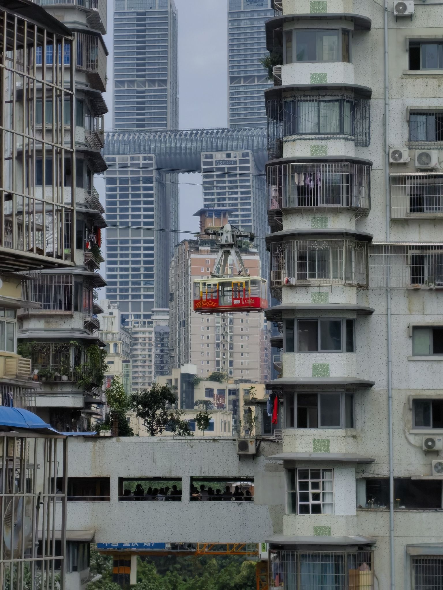 白象街心公园旅行图片 3