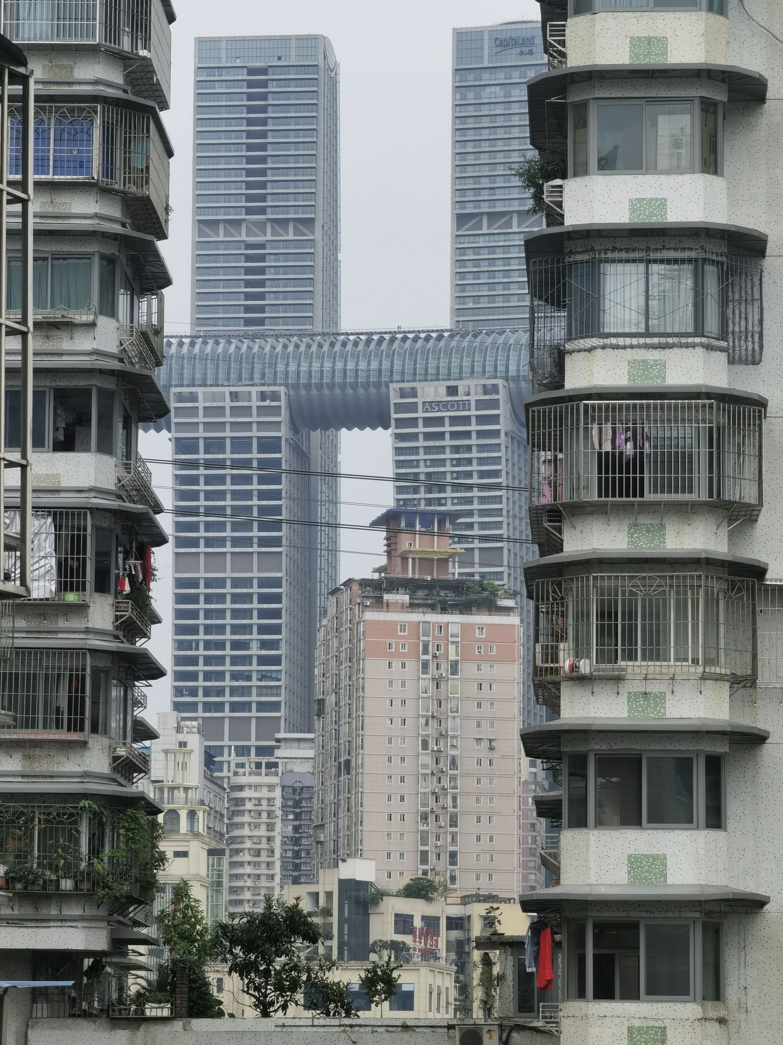白象街心公园旅行图片 1