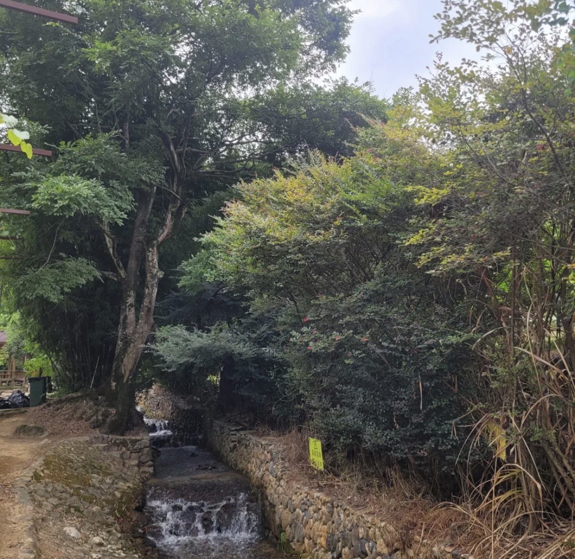 三明洋溪清枫谷生态农业主题公园旅行图片 1