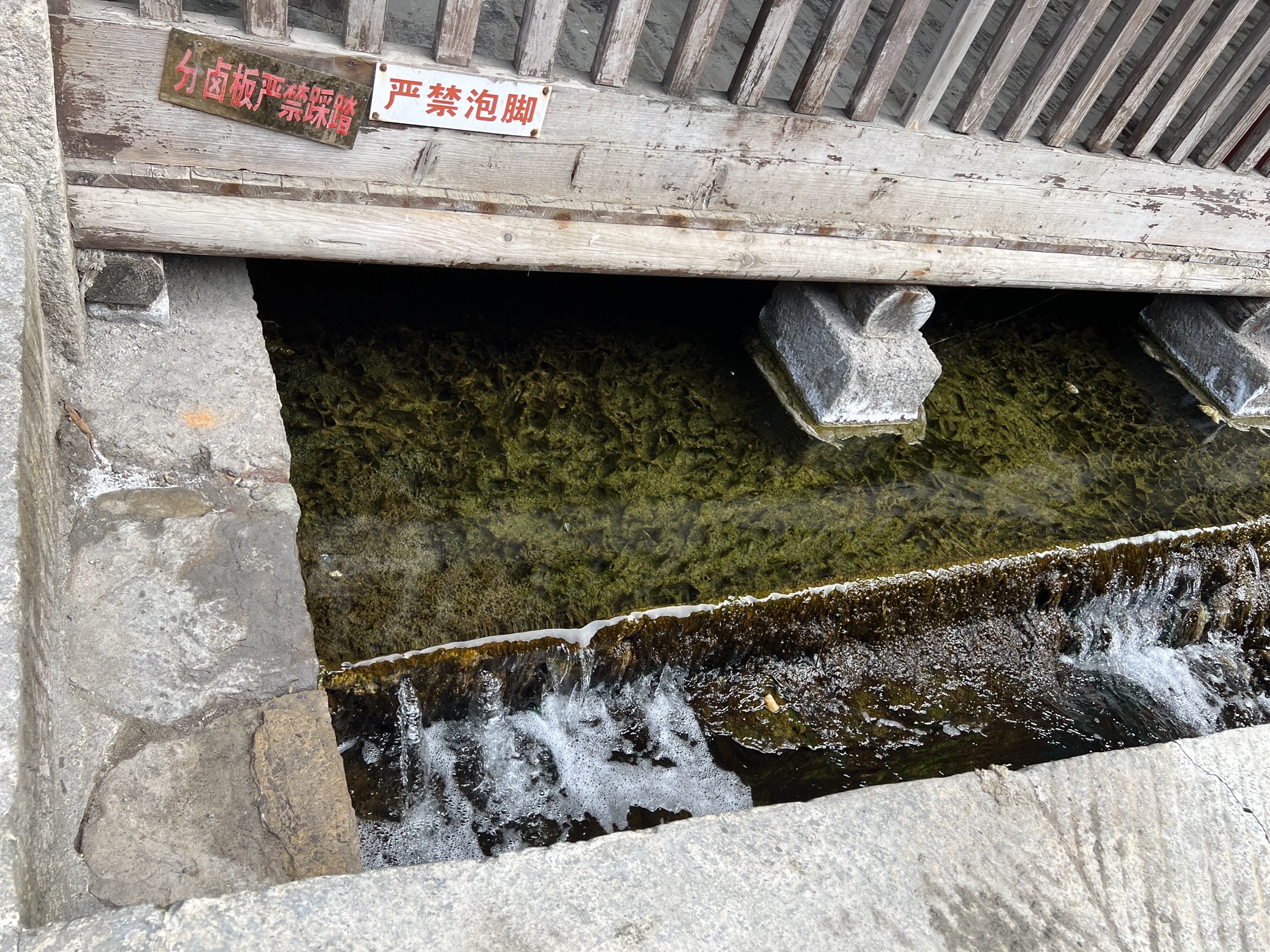 龙君庙盐池遗址旅行图片 2