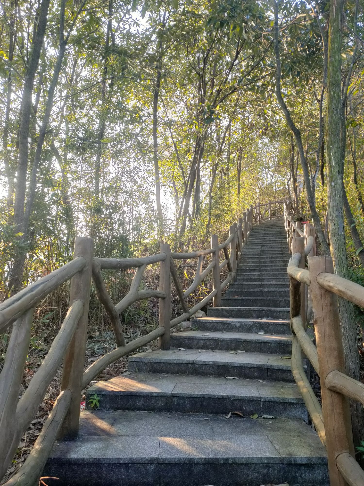 羊角山公园旅行图片 1
